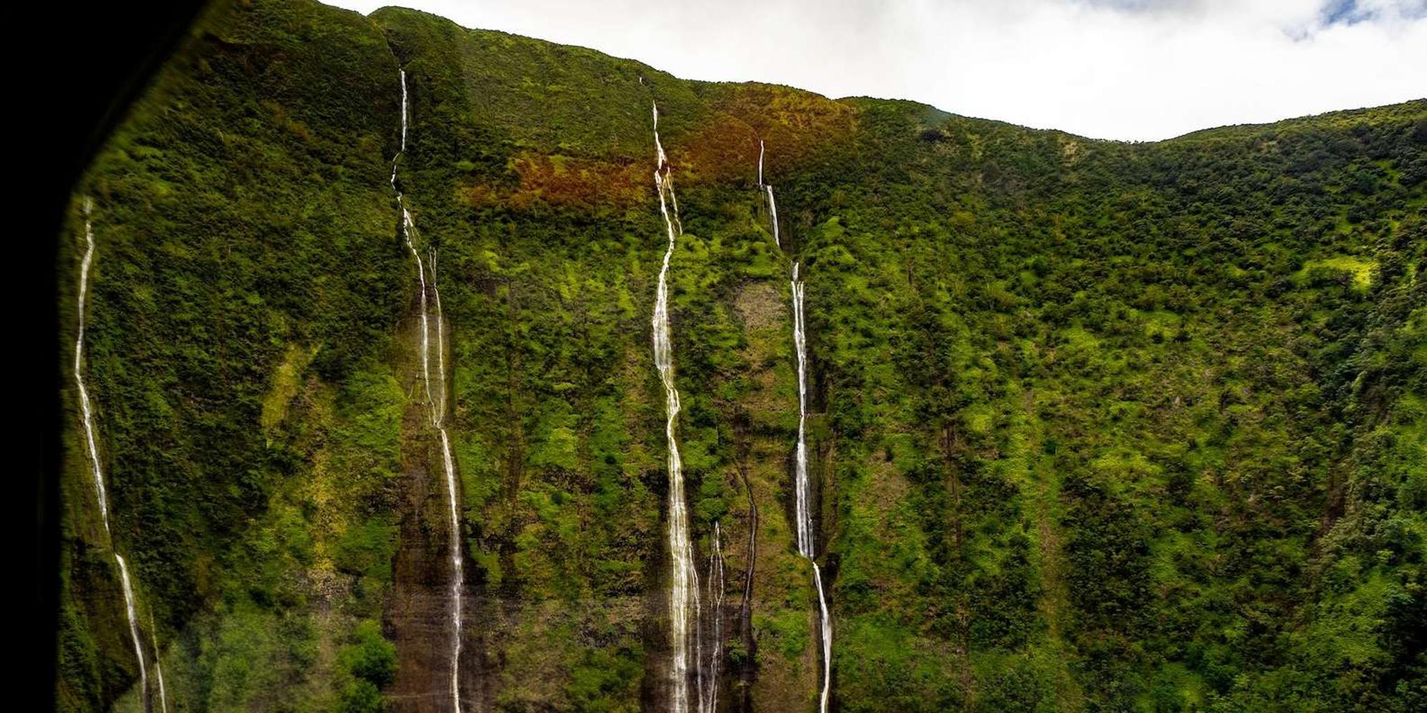 Hilo Helicopter Tour of Hamakua Coast and Valleys - Image 5