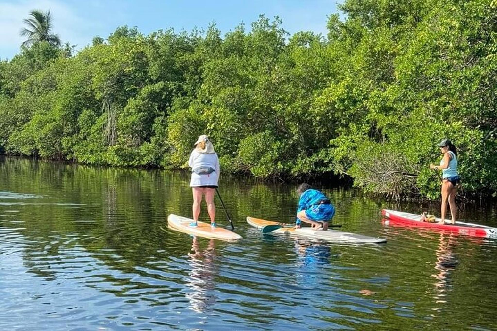 Jupiter Paddleboard Tour - Image 6