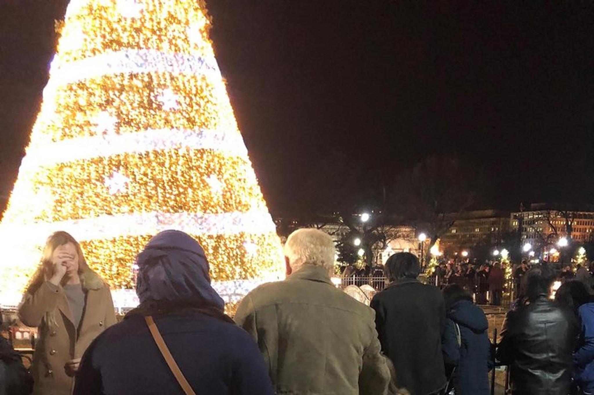 Washington D.C. Festival of Lights Night Tour - Image 3