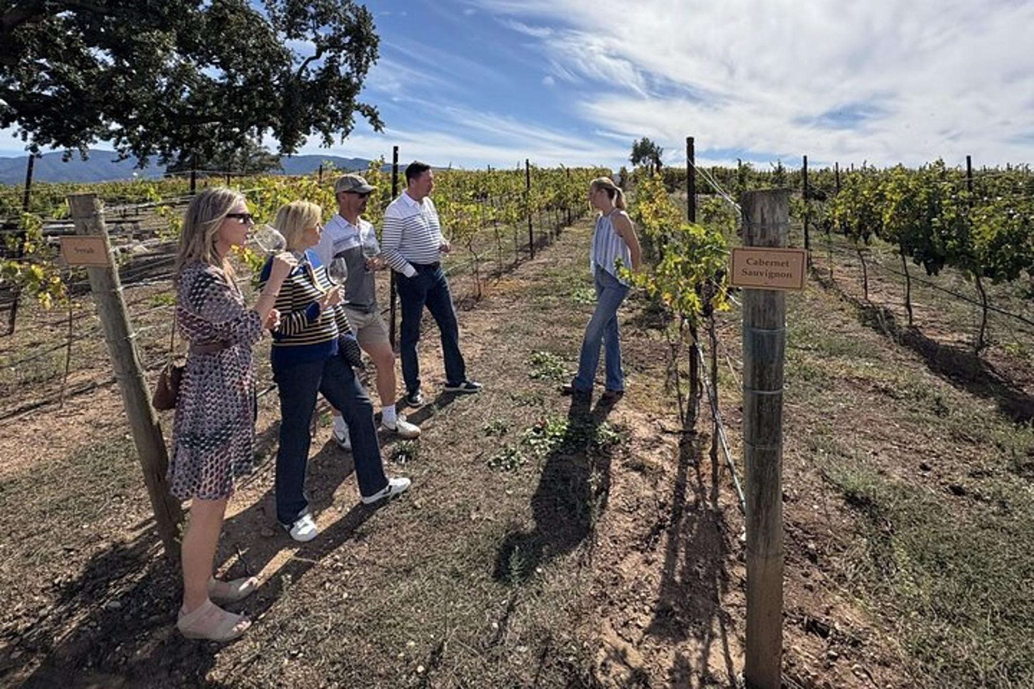 Solvang Wine Tour by Car - Image 5