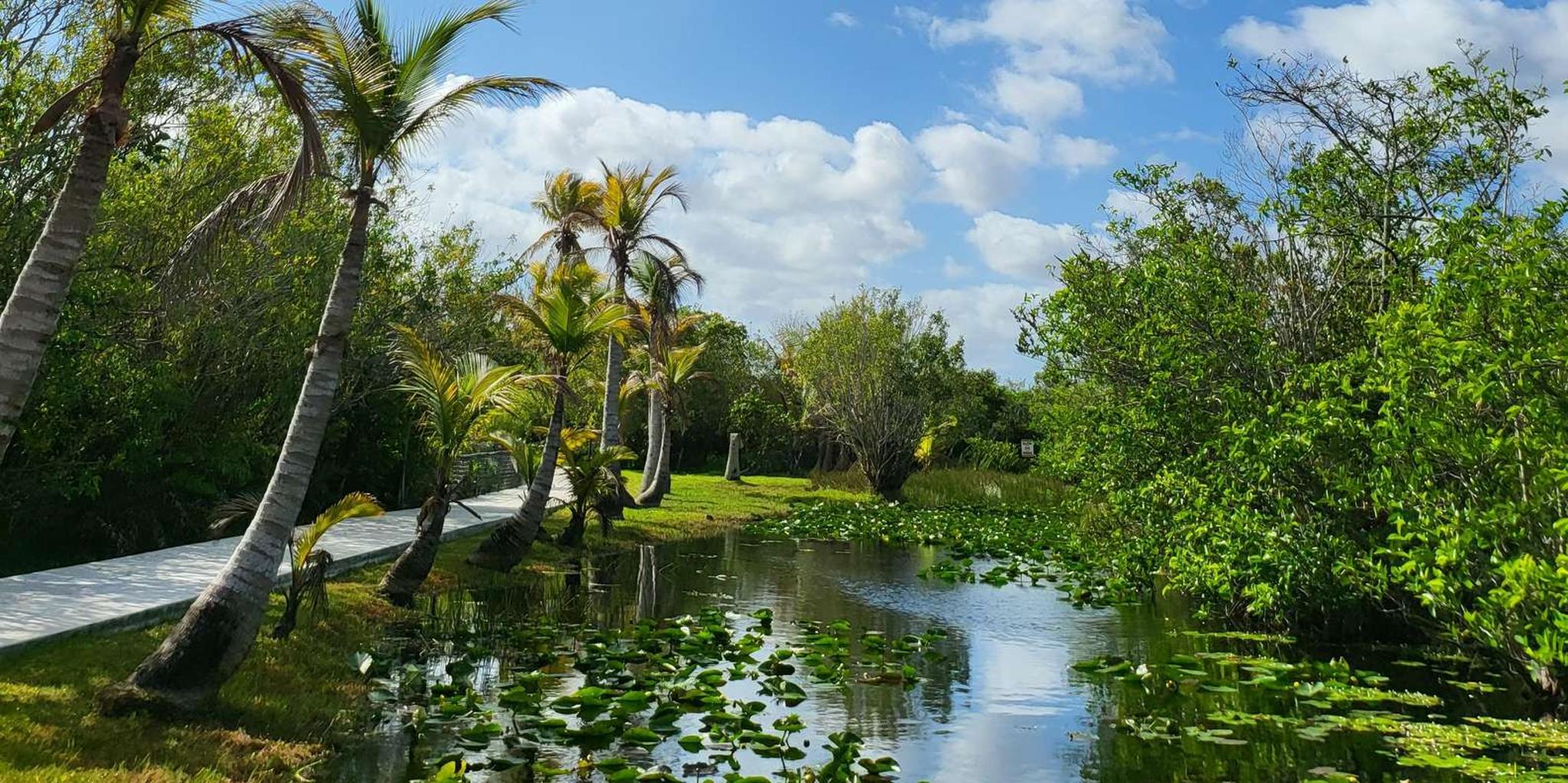 Miami Everglades Boat Tour with Transport - Image 4