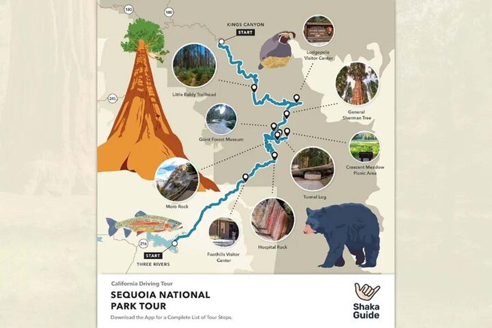 Sequoia and Kings Canyon Audio Tour - Image 3
