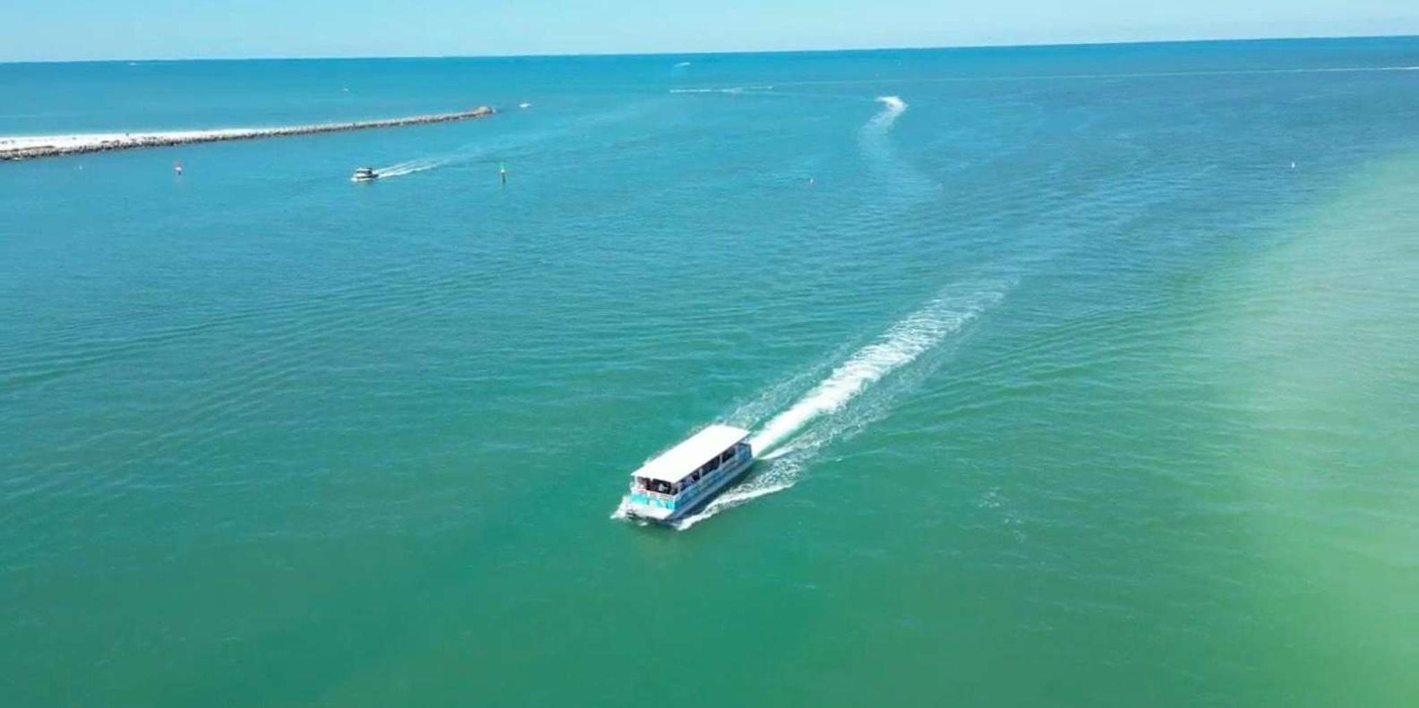 Clearwater Beach Dolphin and Island Sandbar Cruise - Image 4