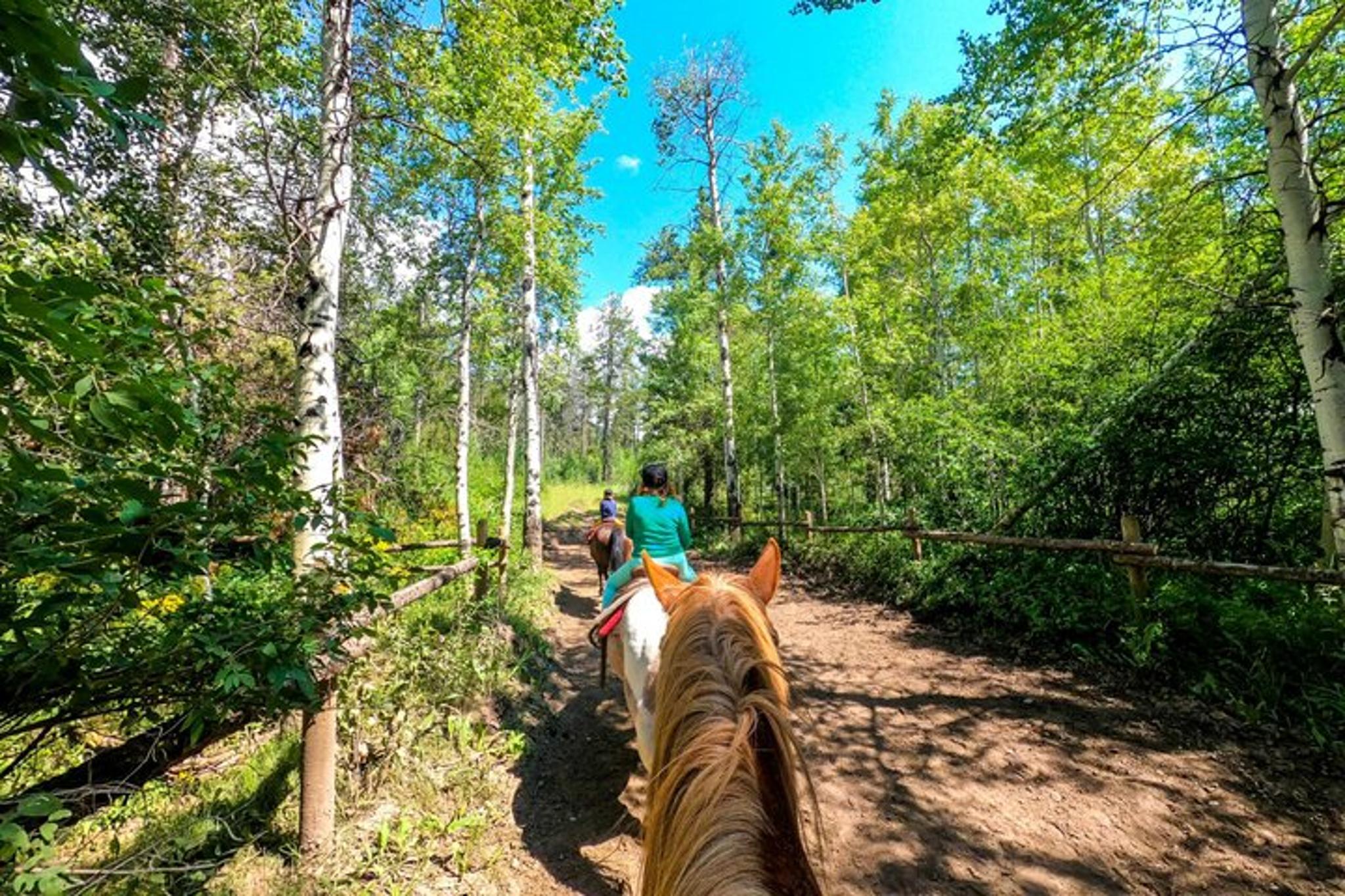 Glenwood Springs Horseback Ride 1 Hr - Image 6