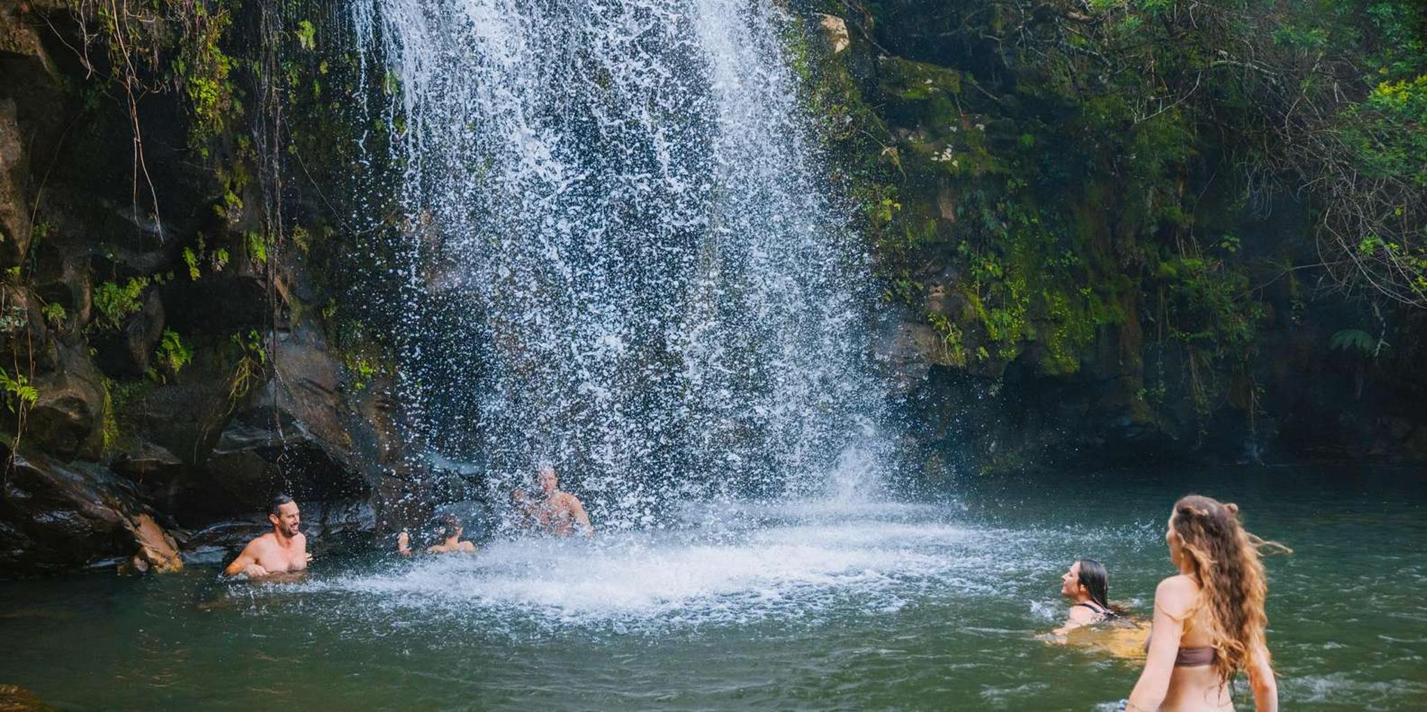 Kohala Waterfalls Adventure Tour - Image 3