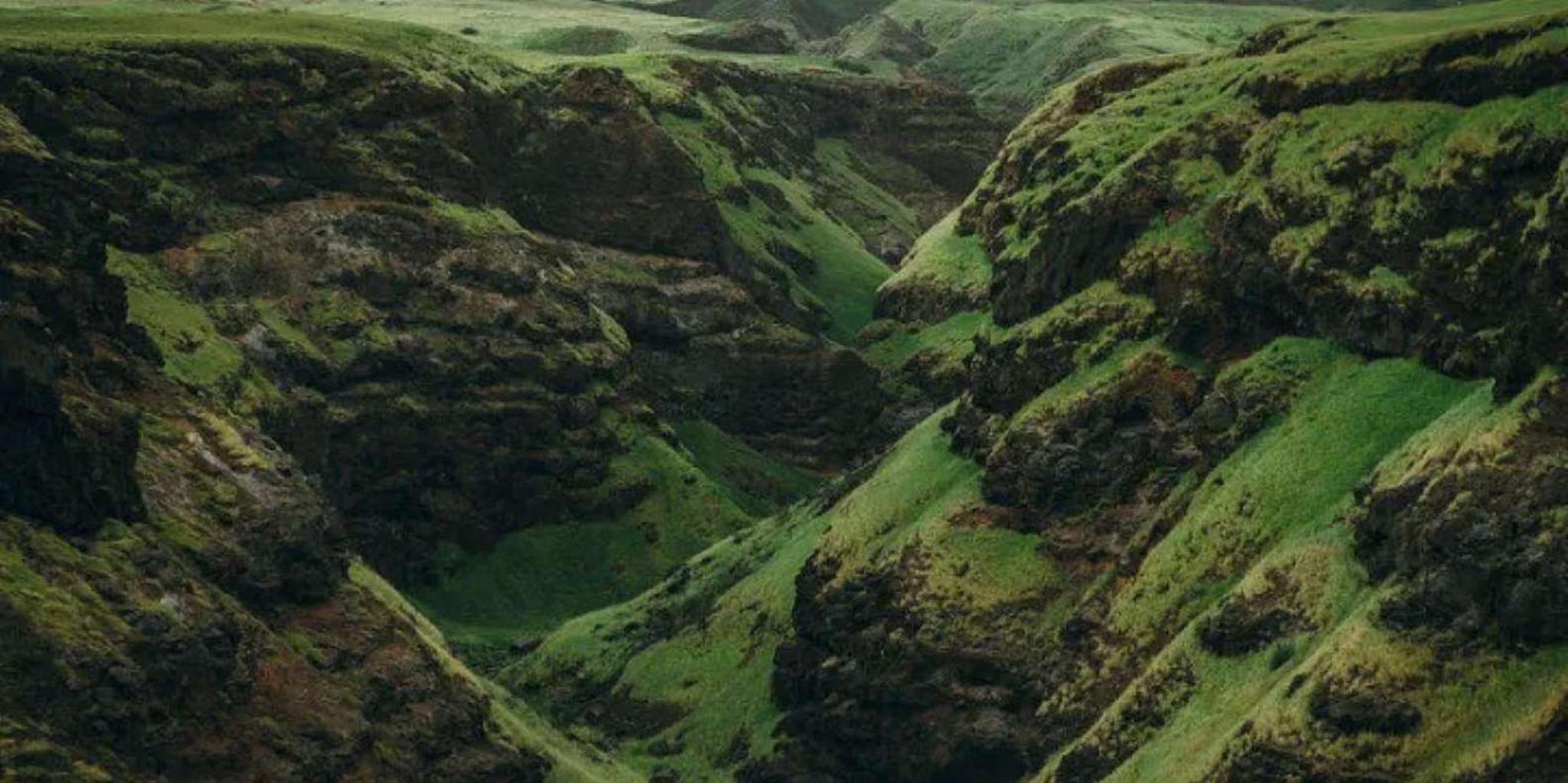 Maui Road to Hana Tour with GoPro Videography - Image 4