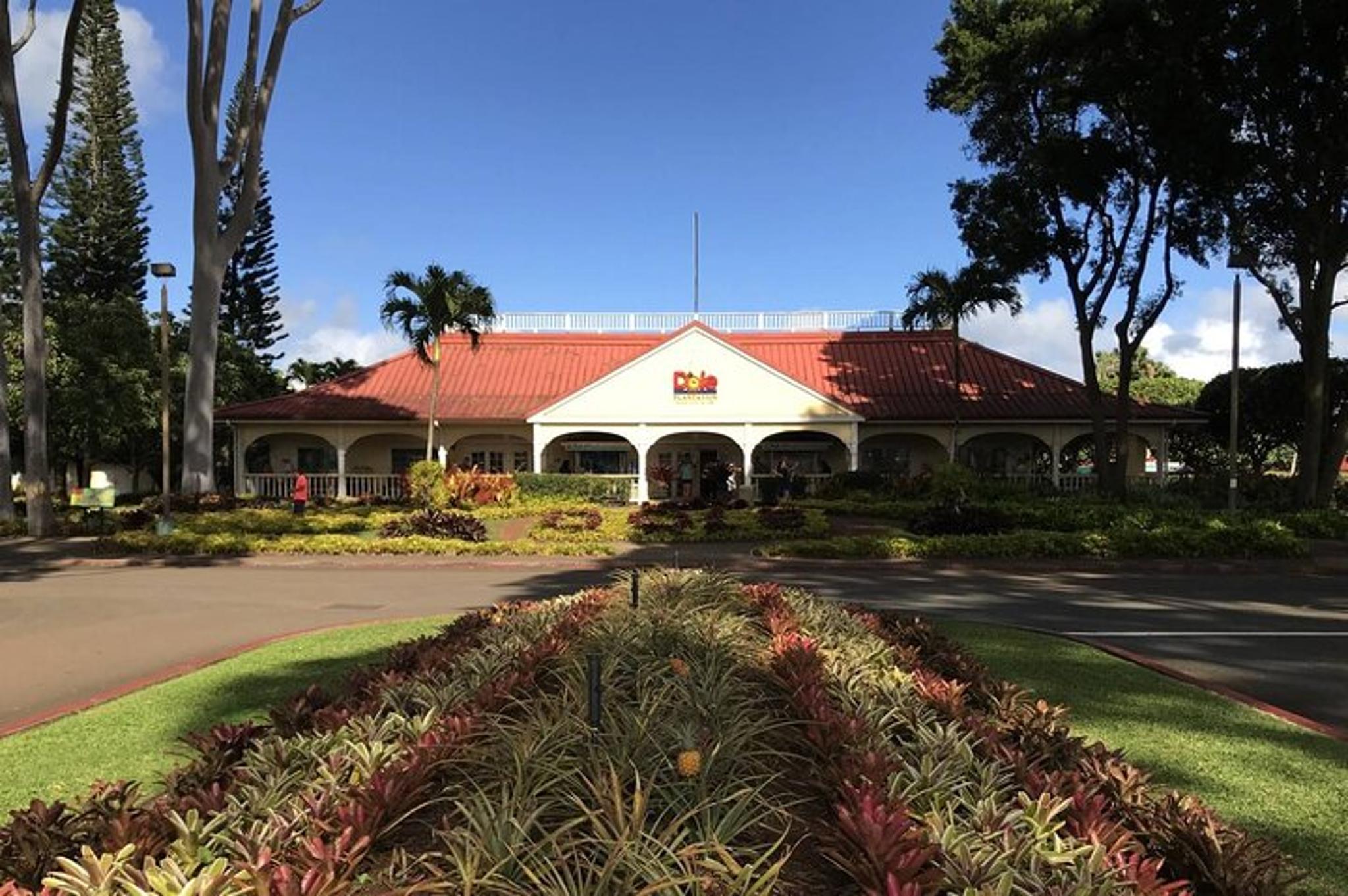 Oahu Circle Island Tour with Snorkeling - Image 4