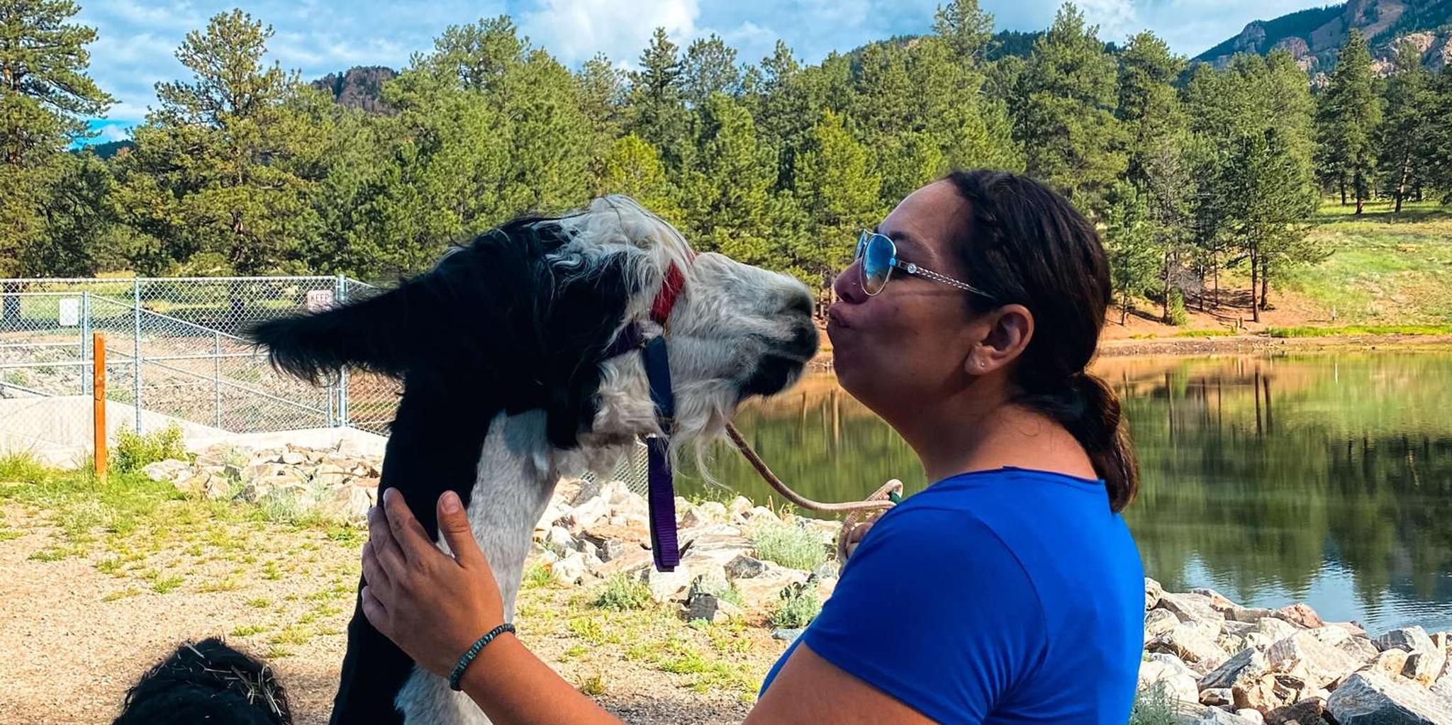 Denver Llama Hike in the Rocky Mountains - Image 5