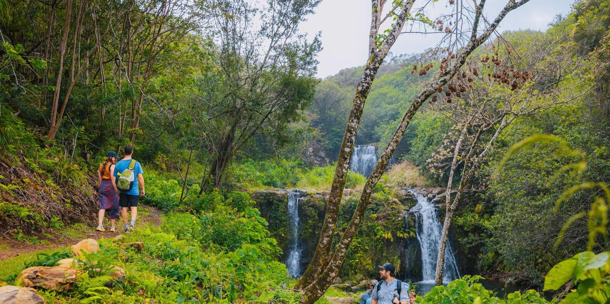 Big Island Kohala Zipline and Waterfall Adventure - Image 2