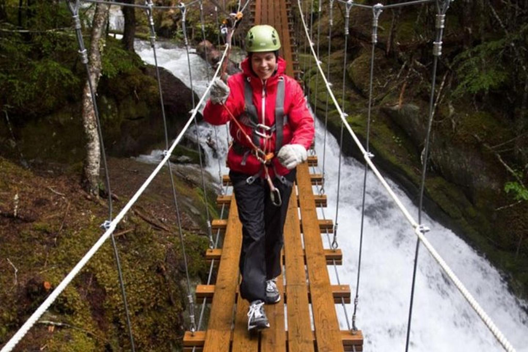 Grizzly Falls Ziplining Expedition in Alaska - Image 3