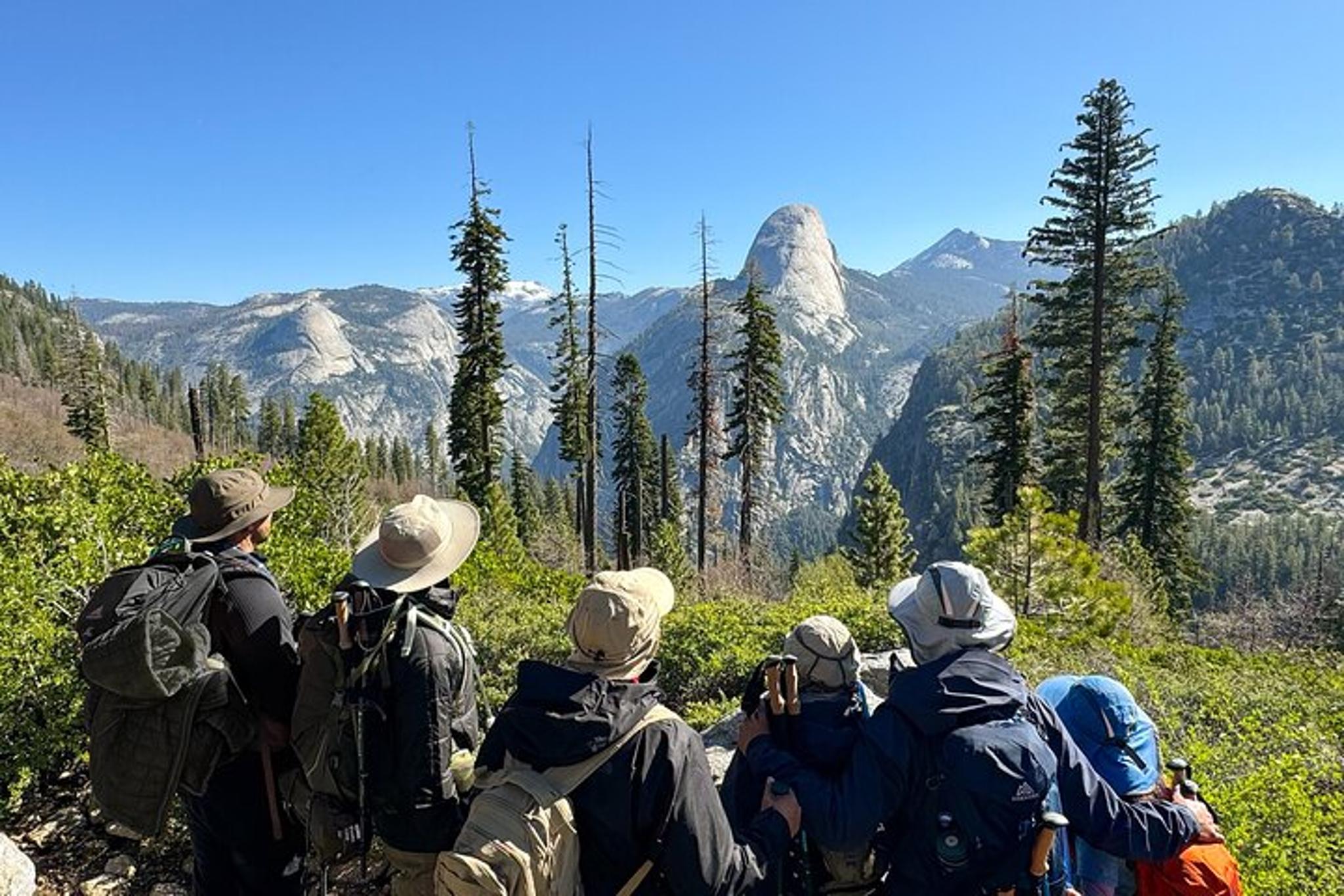Yosemite Team Building Adventure Hike - Image 4