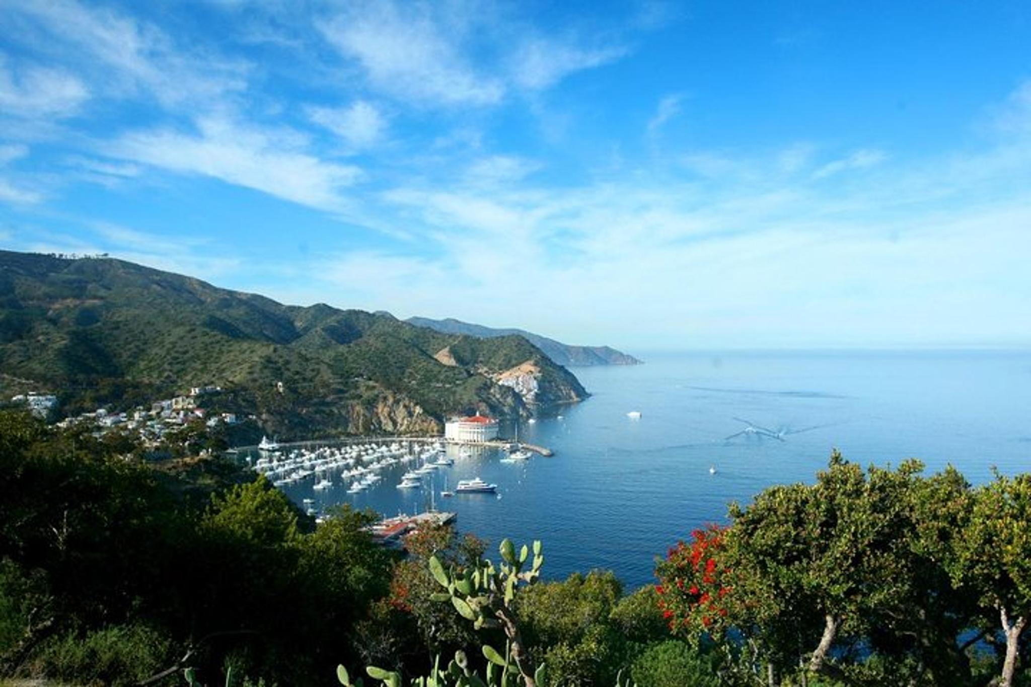 Catalina Island Trip with Hotel Transfers