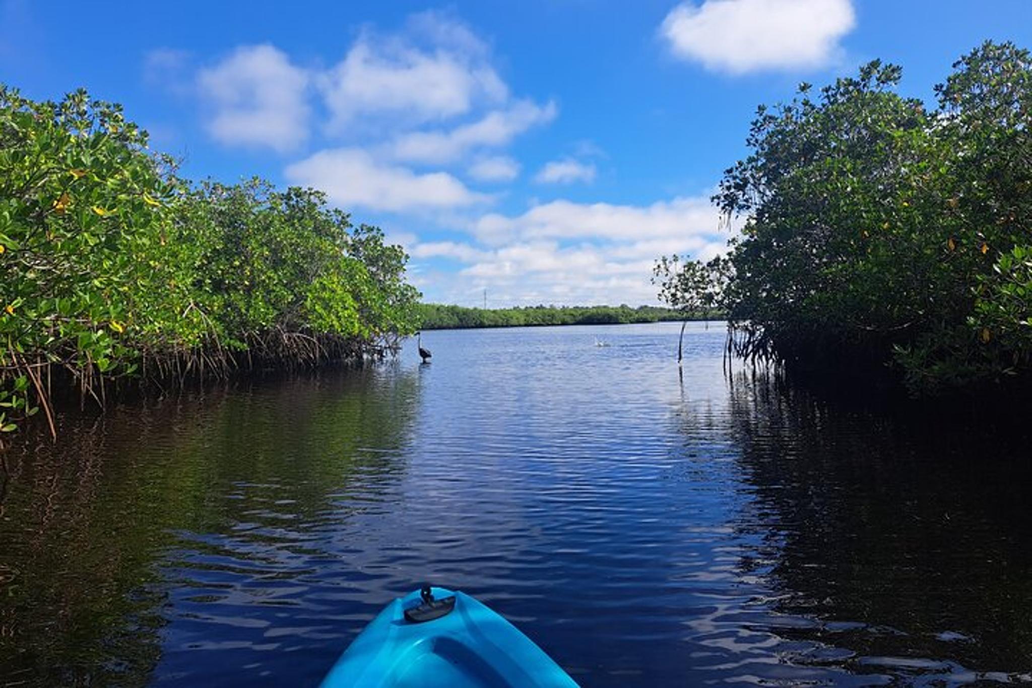 Tarpon Springs Kayaking Tour with Manatees and History - Image 2