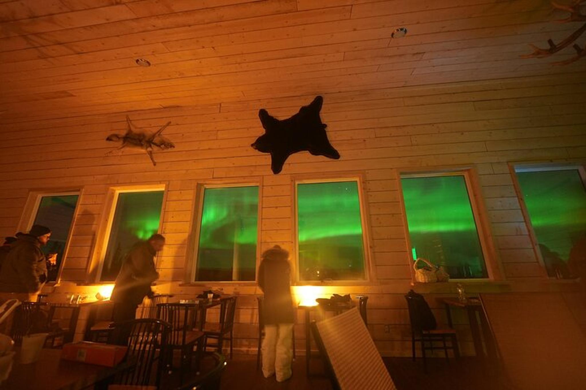 Fairbanks Aurora Viewing Cabin with Photography 4.5 hr - Image 6