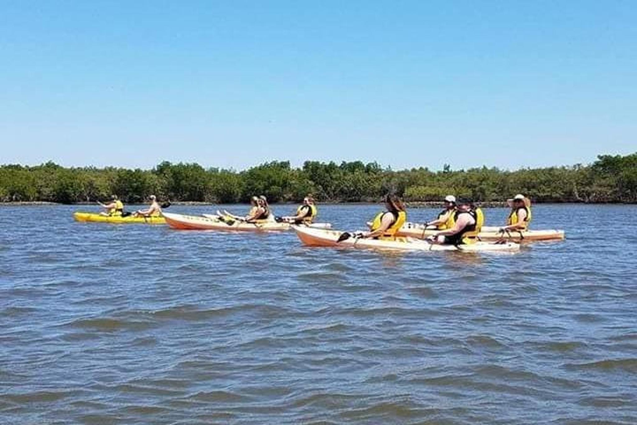 New Smyrna Beach Wildlife Eco Kayak Tour - Image 5