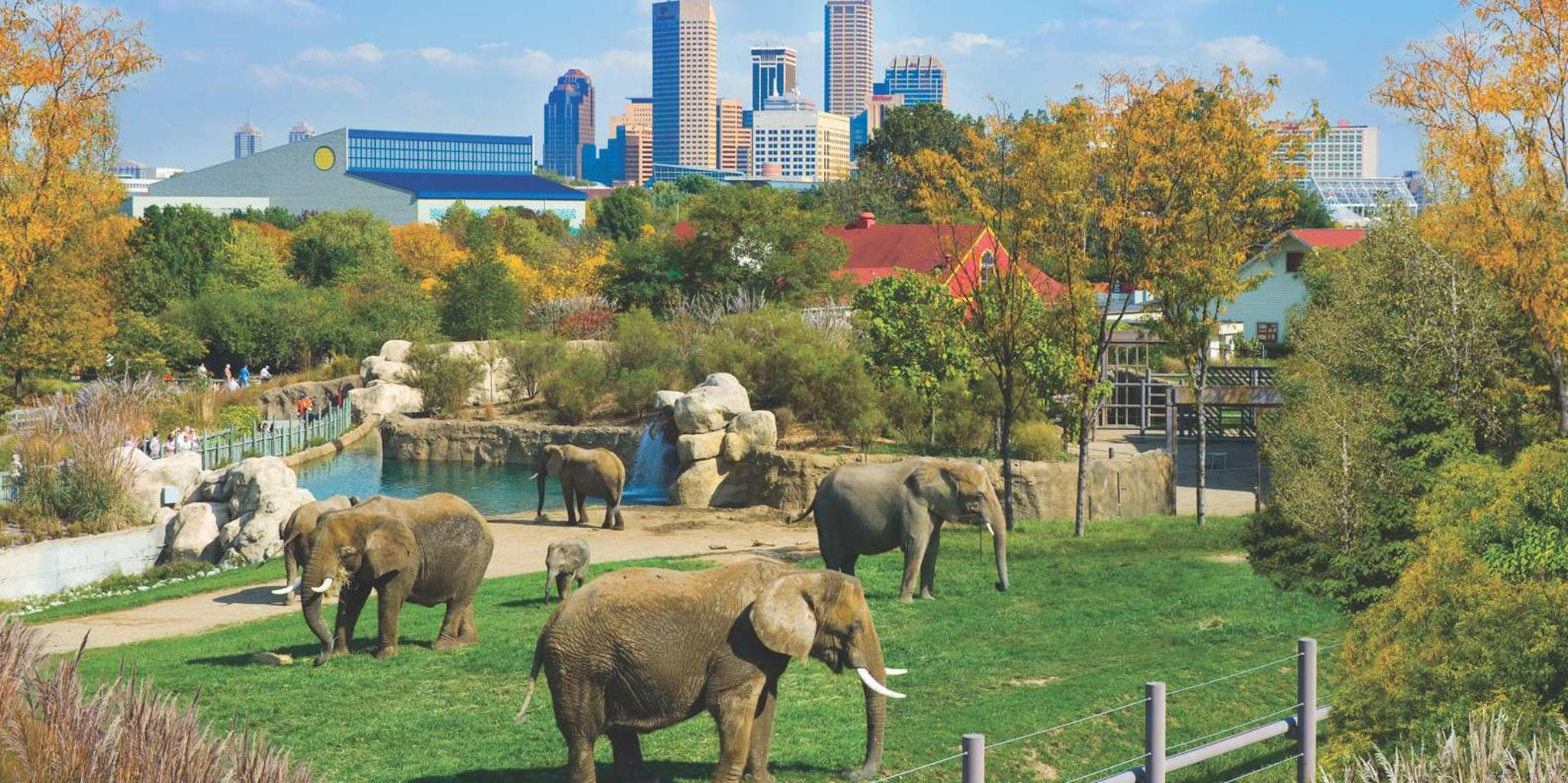Indianapolis Attraction Pass 3-Day - Image 3