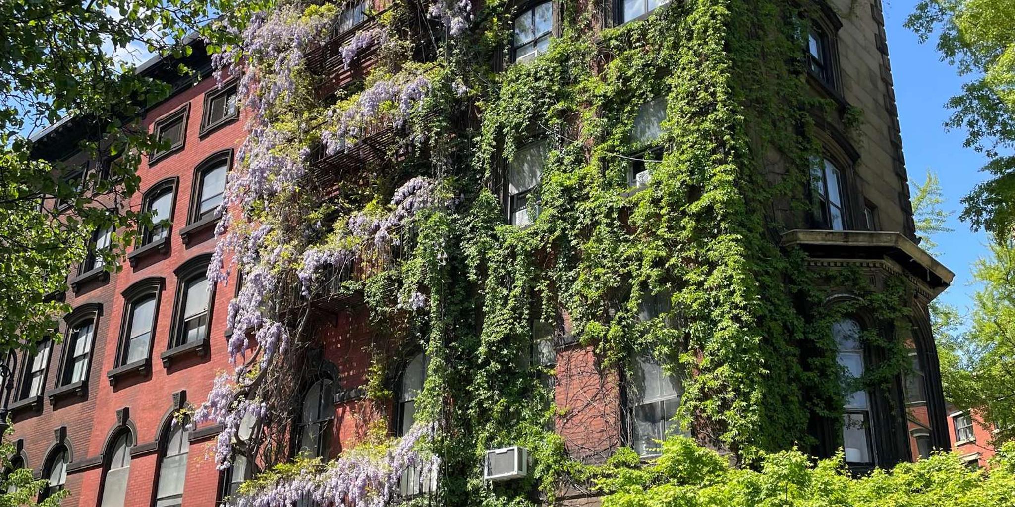 New York East Village Food Tour - Image 4