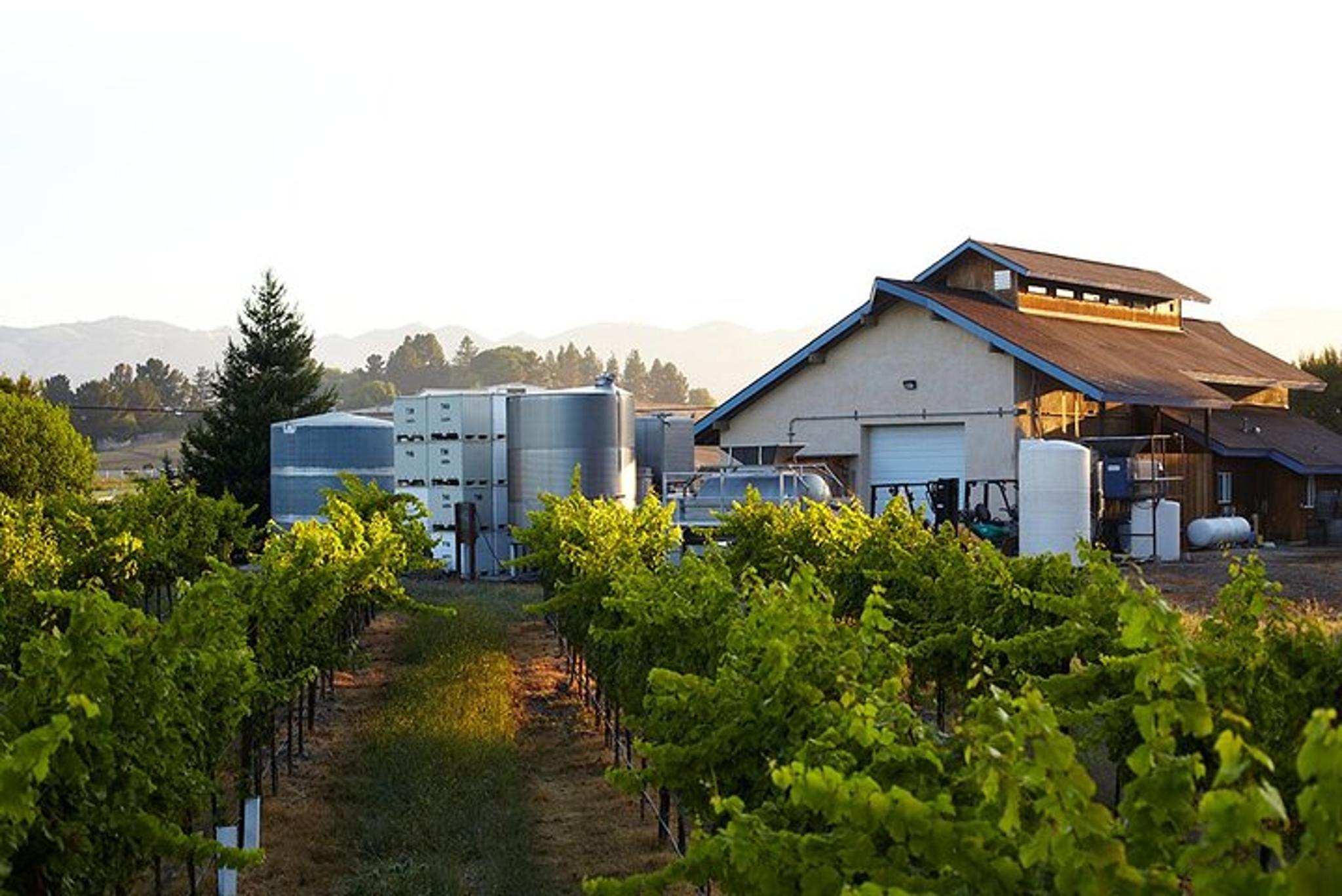 San Luis Obispo Sidecar Winery Tour - Image 2