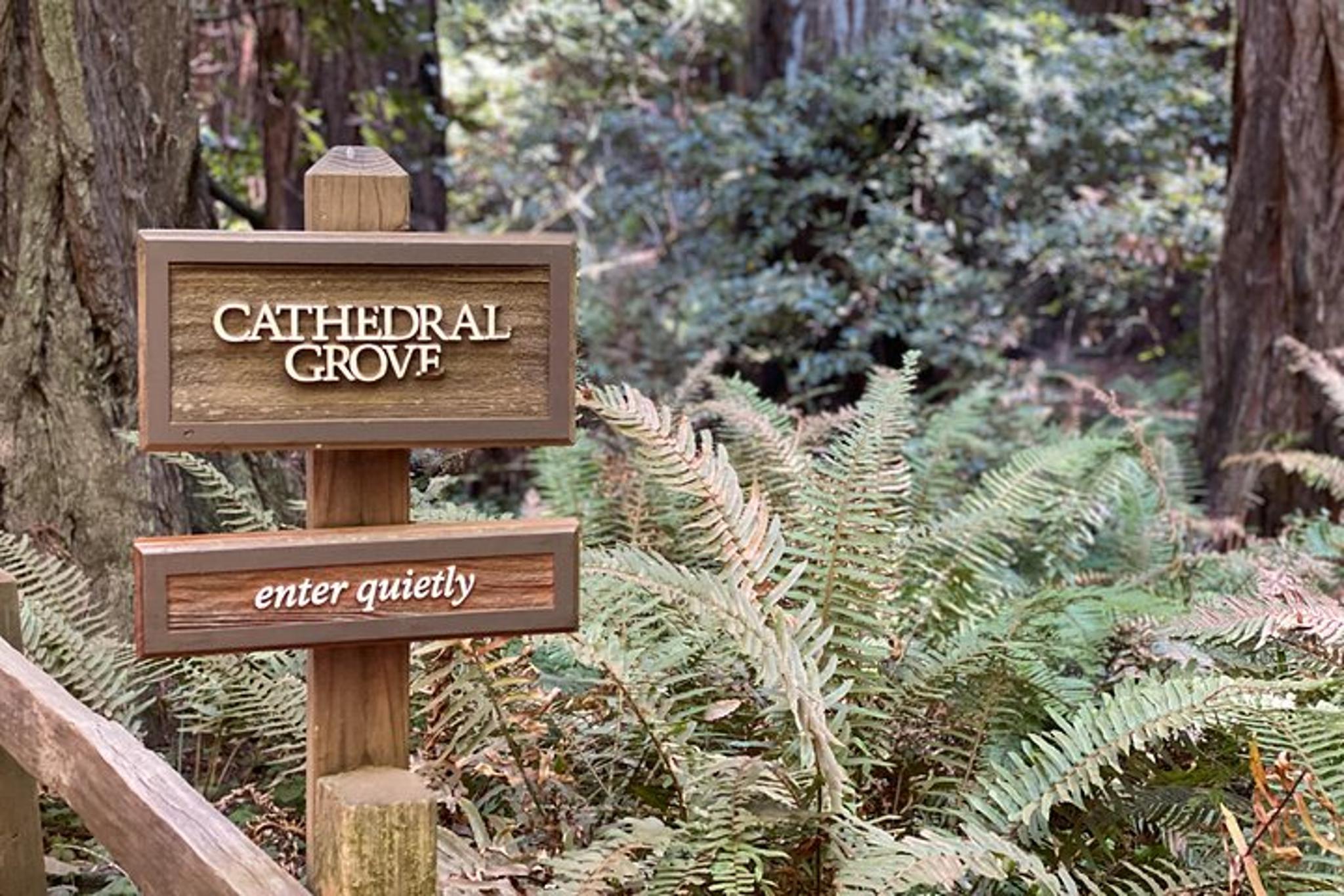 San Francisco Muir Woods Private Tesla Tour - Image 3