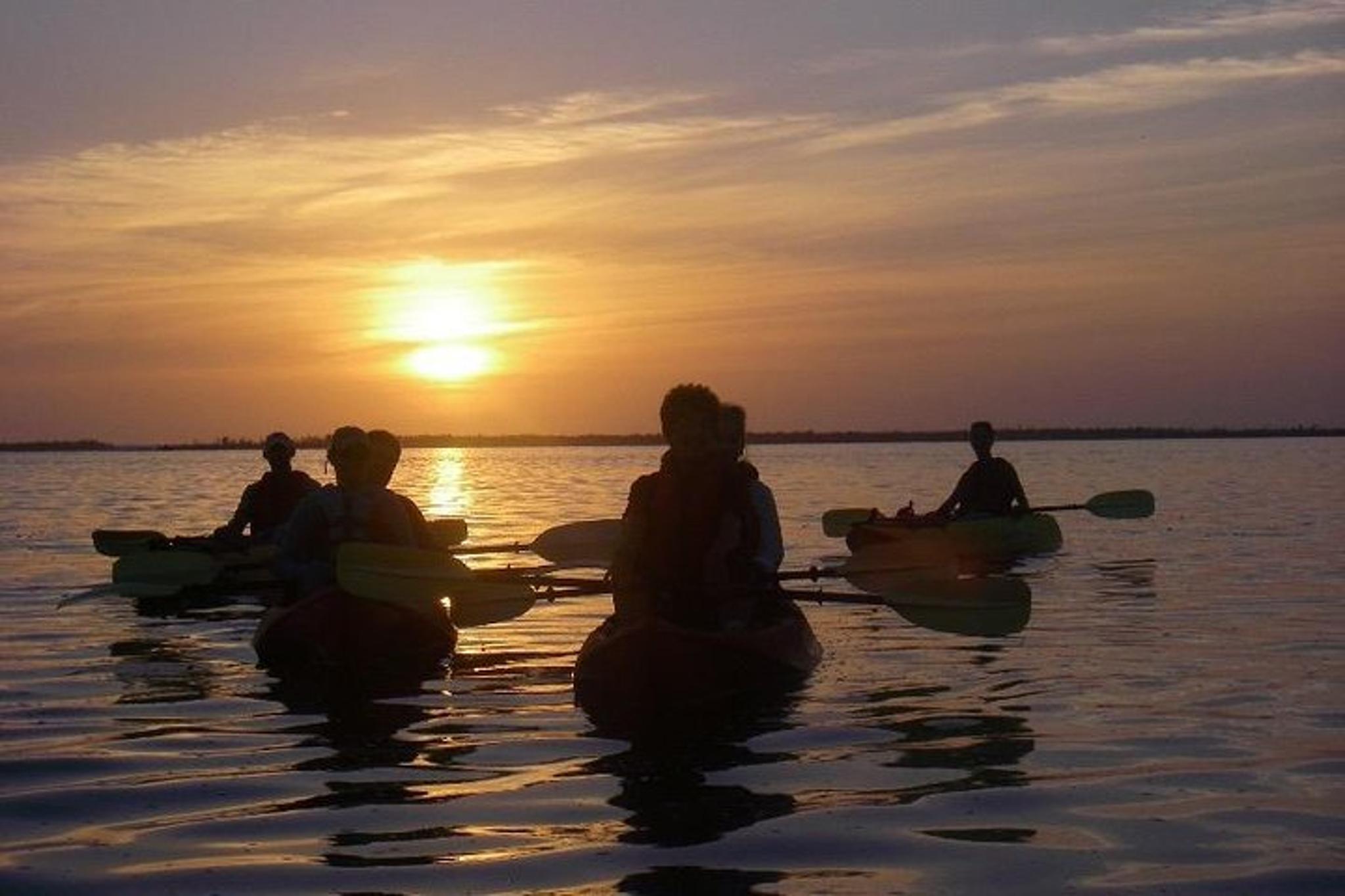 Titusville Kayaking Wildlife Refuge at Sunset - Image 3