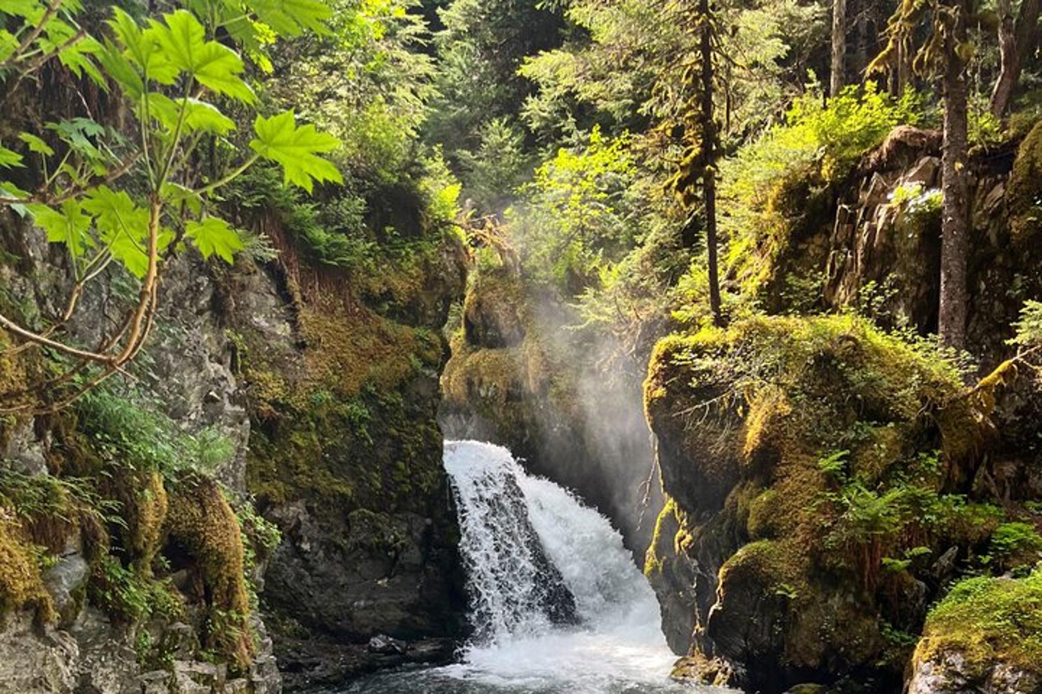 Anchorage Mystery Sightseeing Tour - Image 6