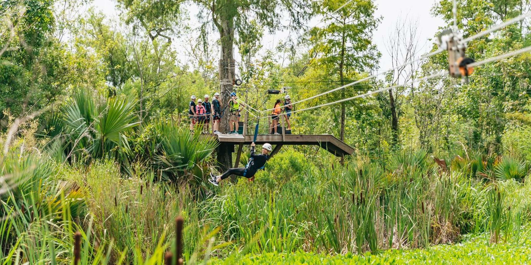 New Orleans Swamp Zipline Tour
