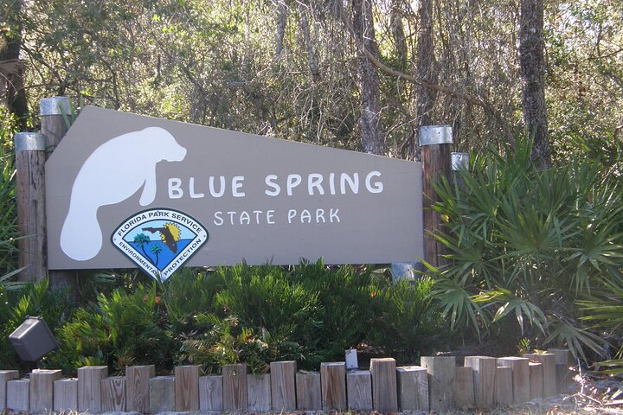St. Johns River Cruise at Blue Spring State Park - Image 6