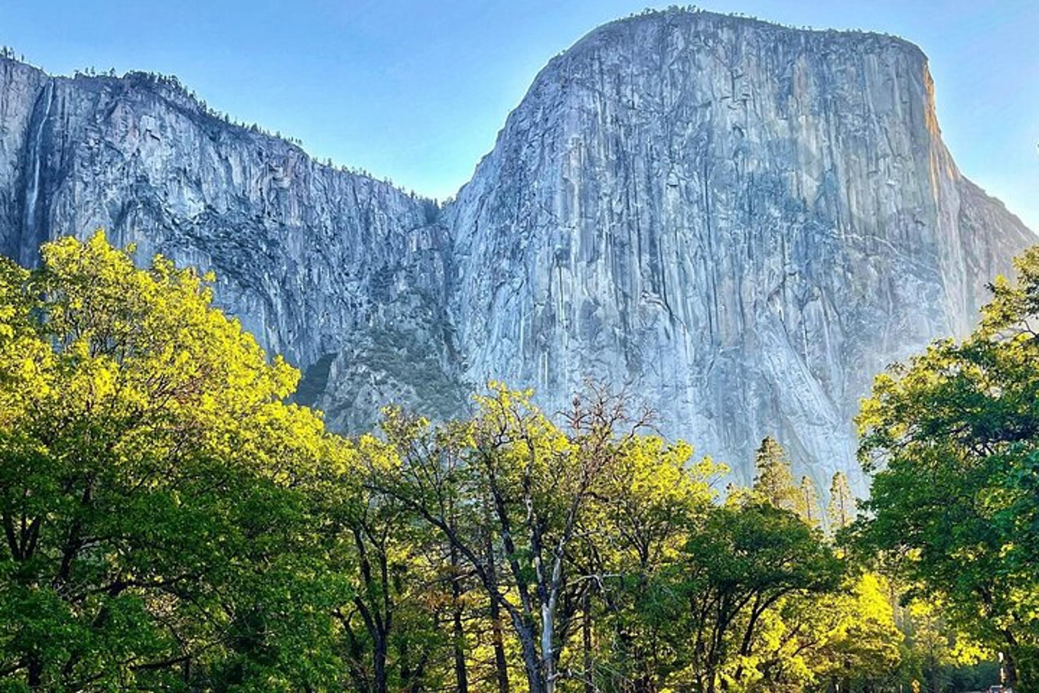Yosemite Valley and Glacier Point Small Group Tour