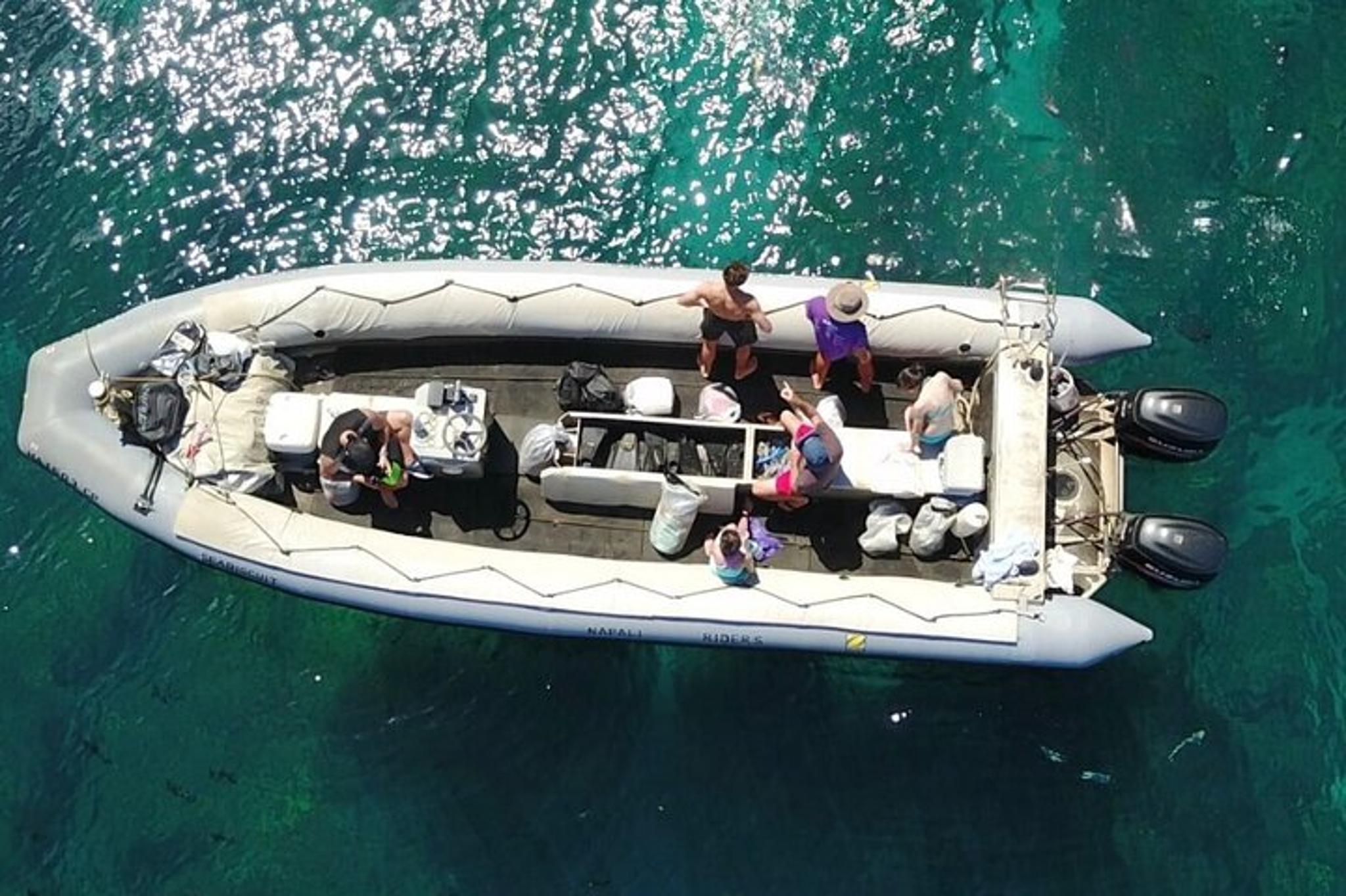 Kauai Whale Watching Expedition - Image 3