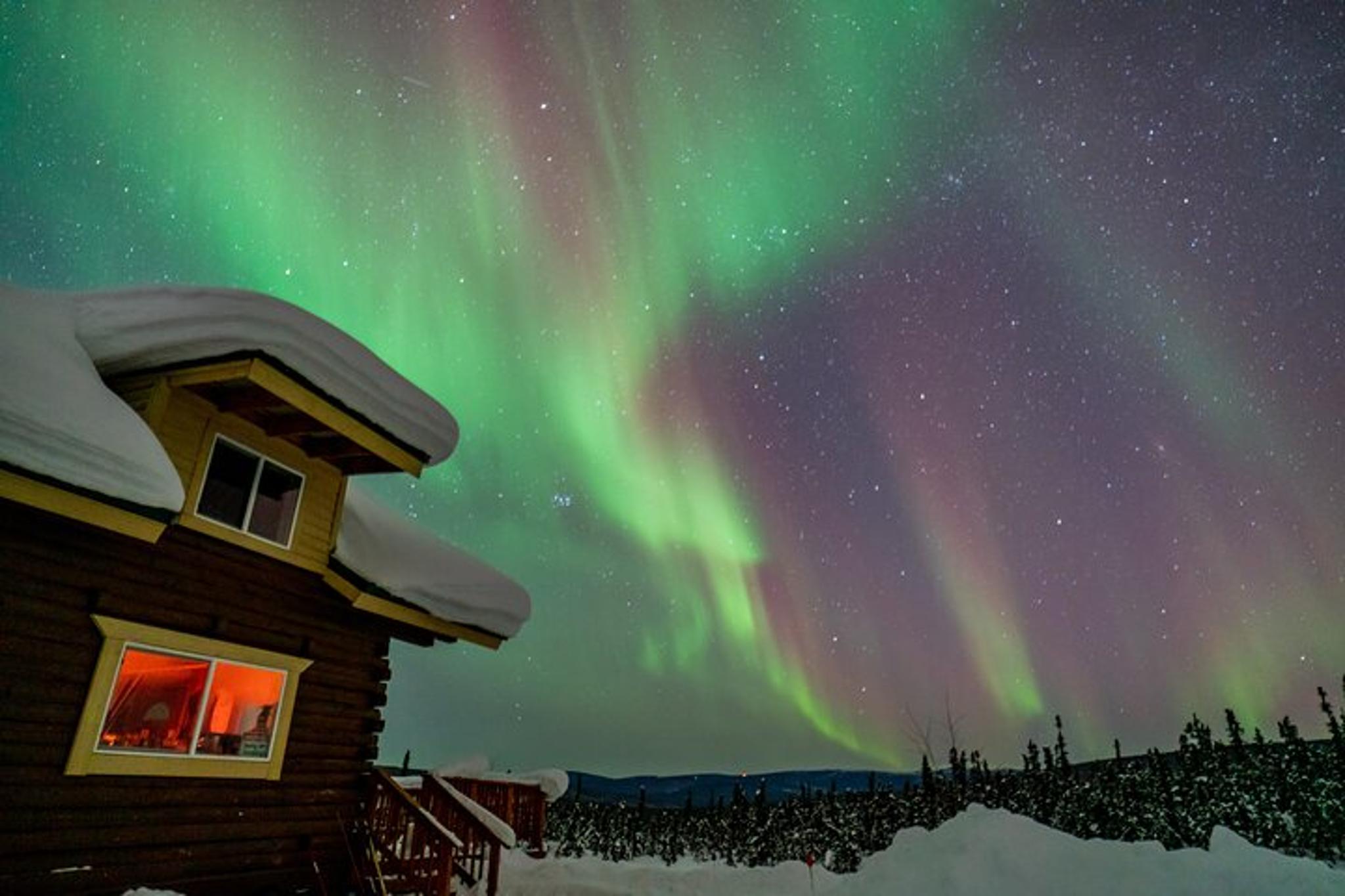 Fairbanks Northern Lights Tour - Image 6