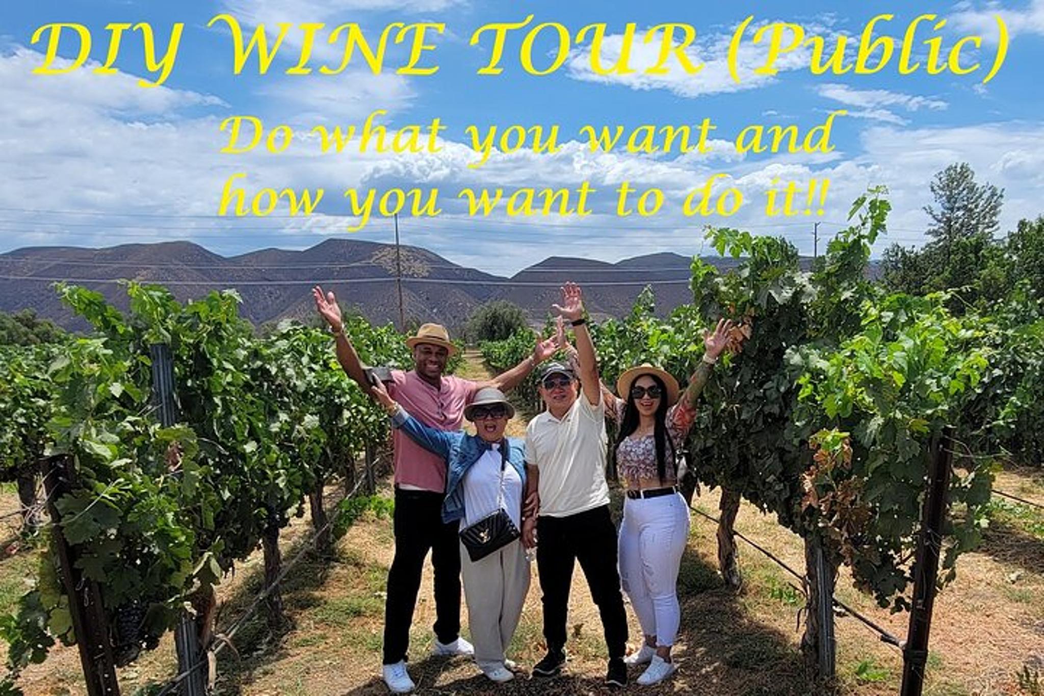 Temecula Wine Tour Private 5 hr - Image 1