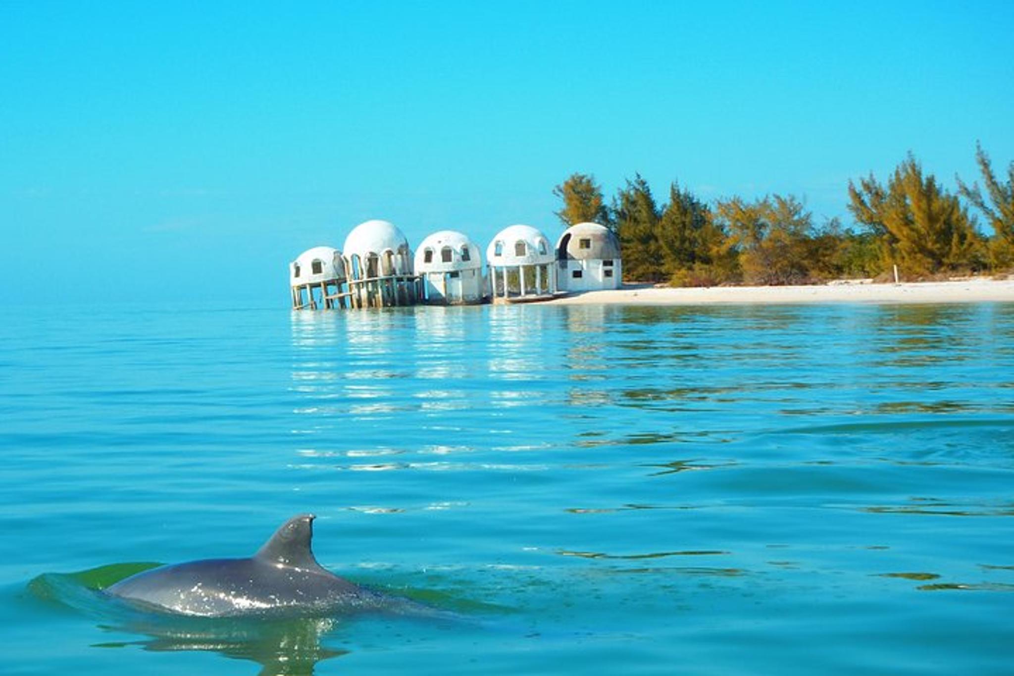 Goodland Dolphin Tour by Jet Ski - Image 2