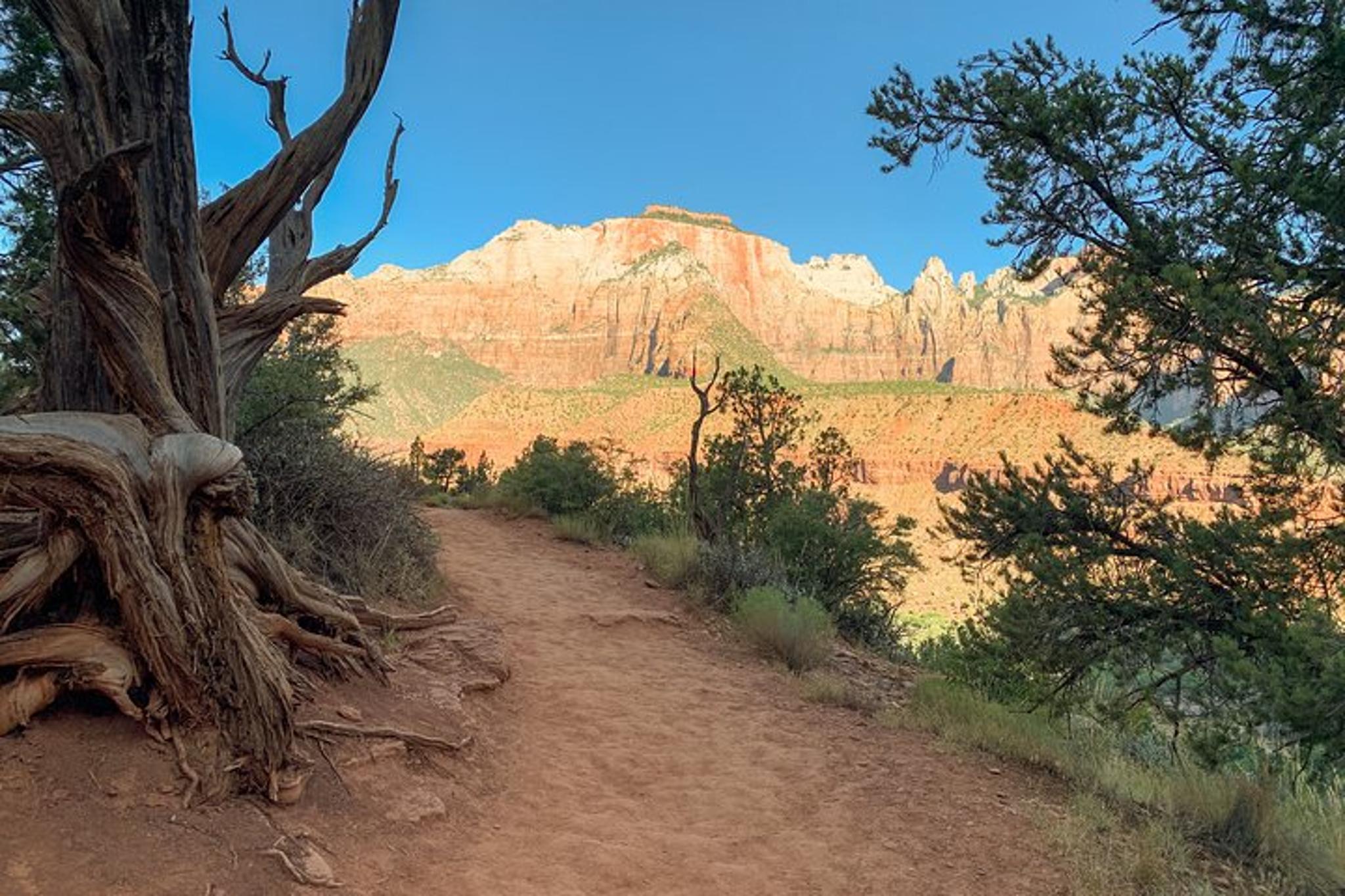 Las Vegas Zion Canyon Day Tour - Image 6