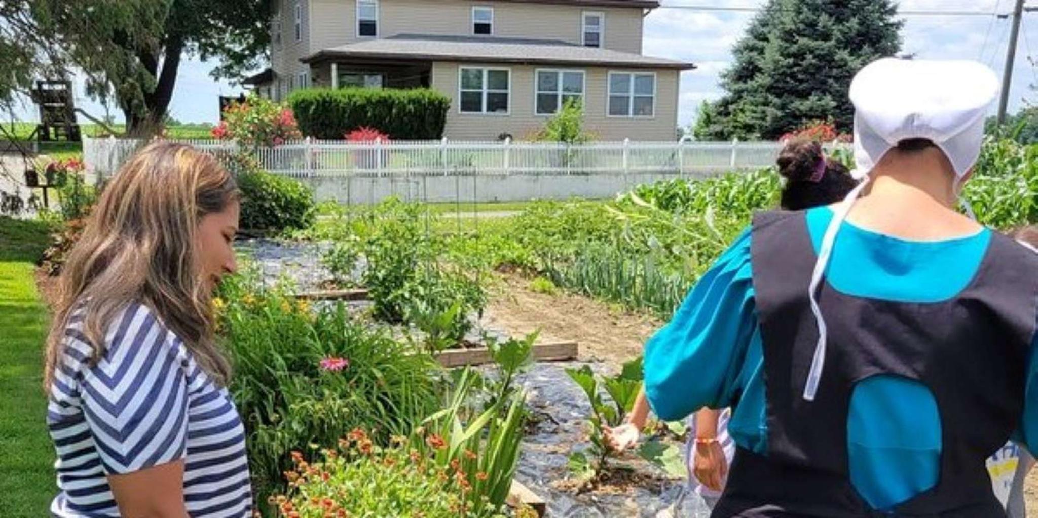 Lancaster Amish Immersion Experience 3 hr - Image 1