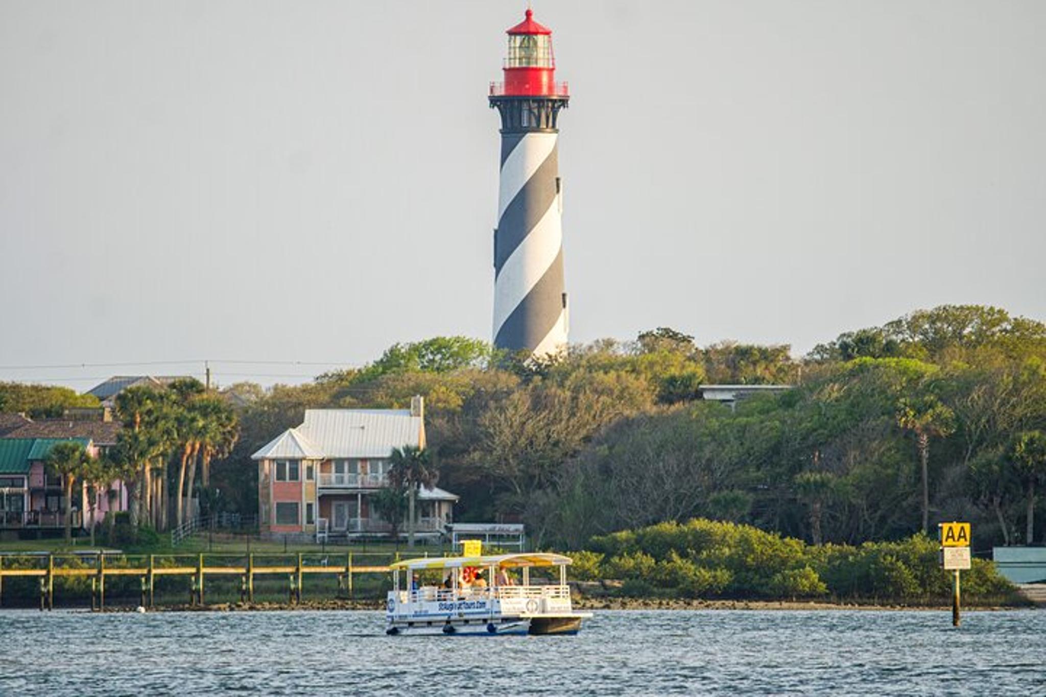 St. Augustine Dolphin and Wildlife Boat Tour - Image 5