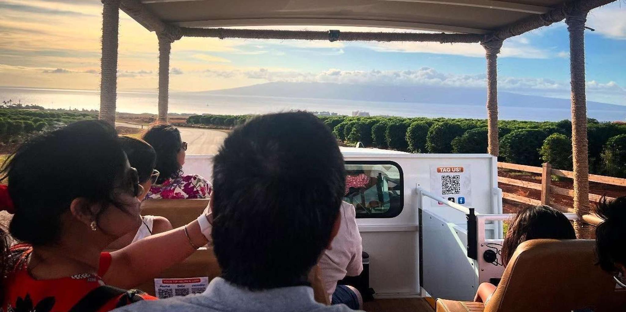 Maui Open-Air Highlights Tour from Kāʻanapali - Image 1