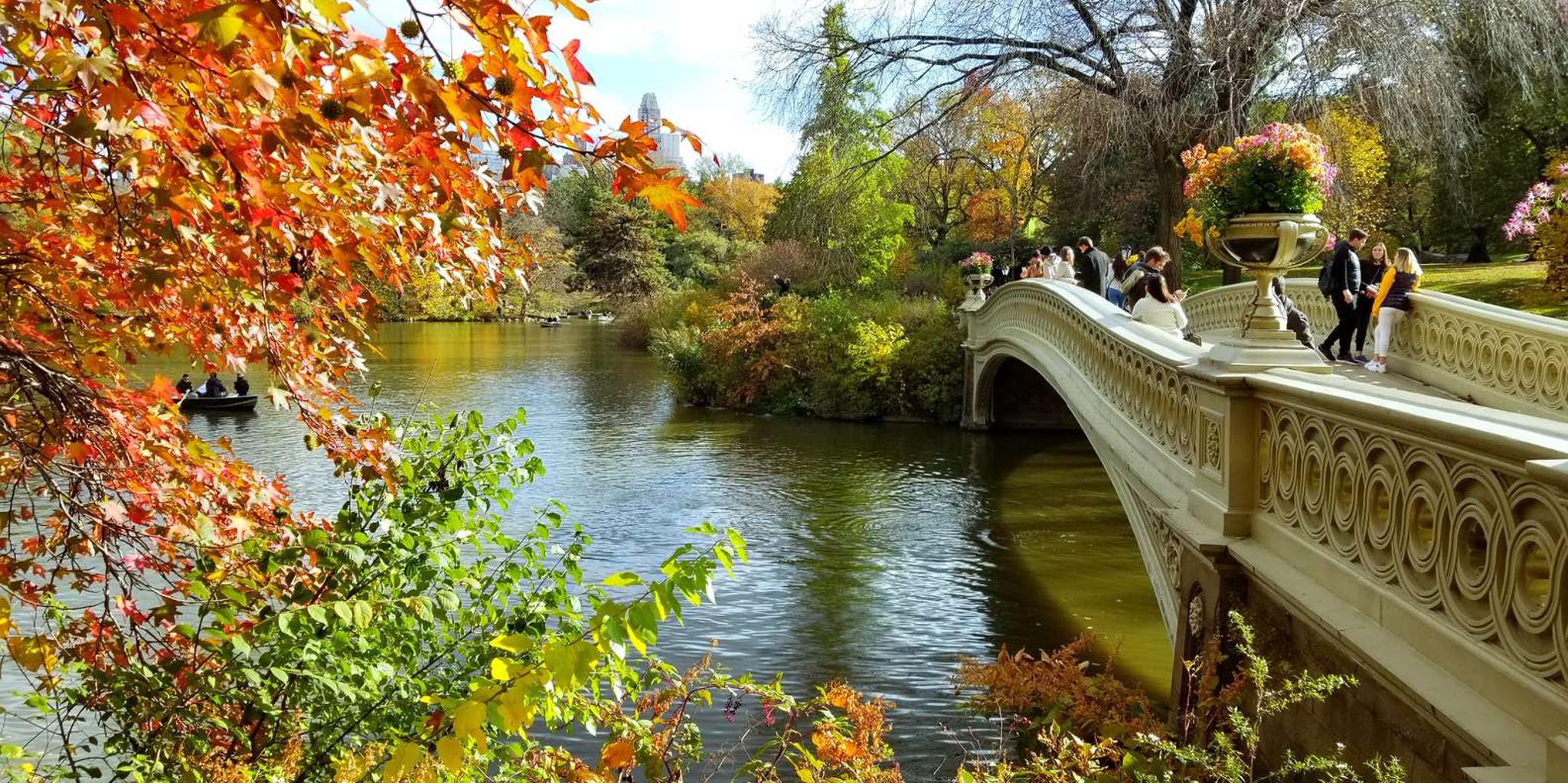 New York Central Park Walking Tour - Image 3