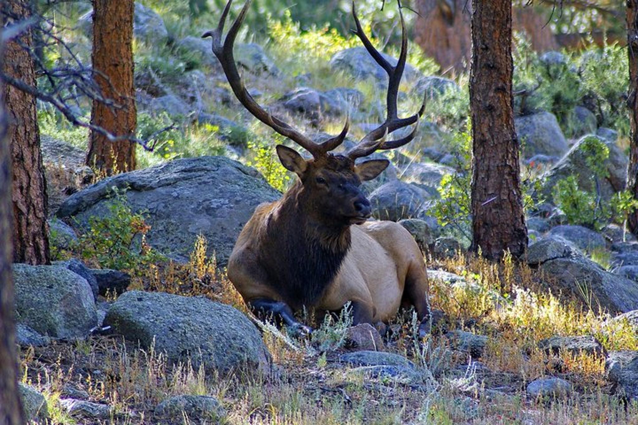 Steamboat Springs Scavenger Hunt - Image 6