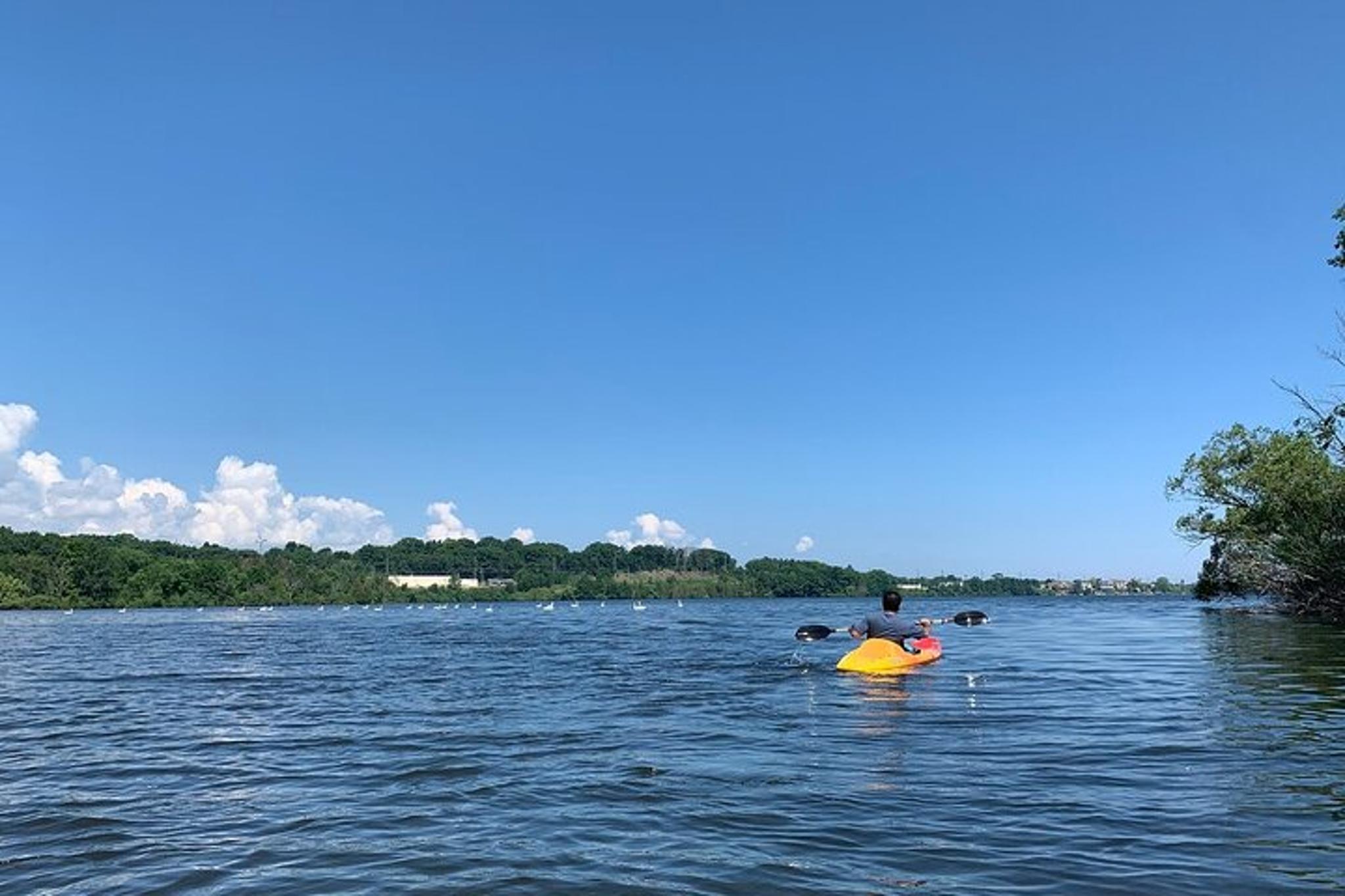 Traverse City Kayak, Bike, and SUP Rental 4 hr - Image 5
