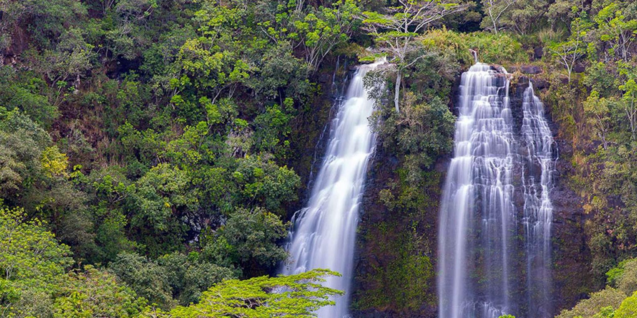 Kauai Highlights and Movie Sites Tour - Image 5
