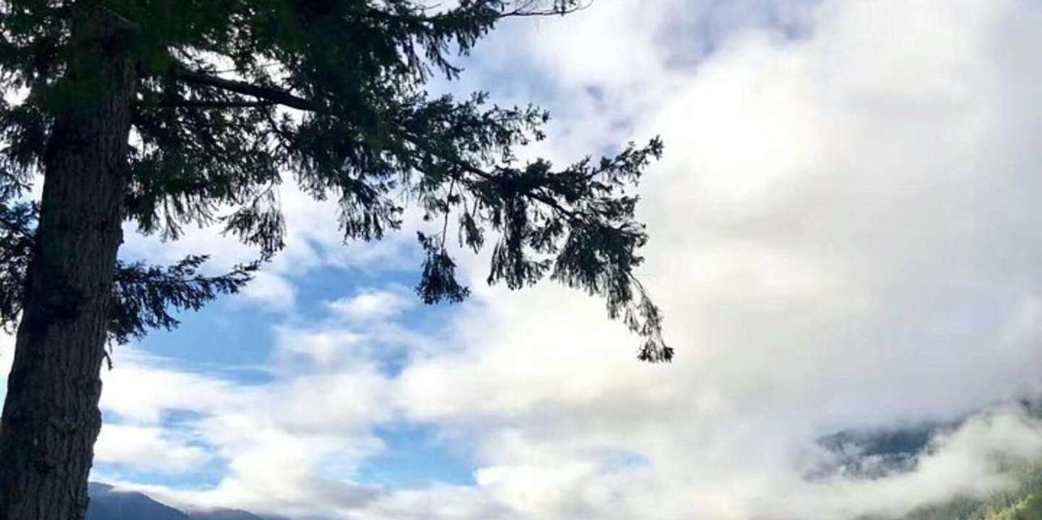 Seattle Olympic National Park Day Tour
