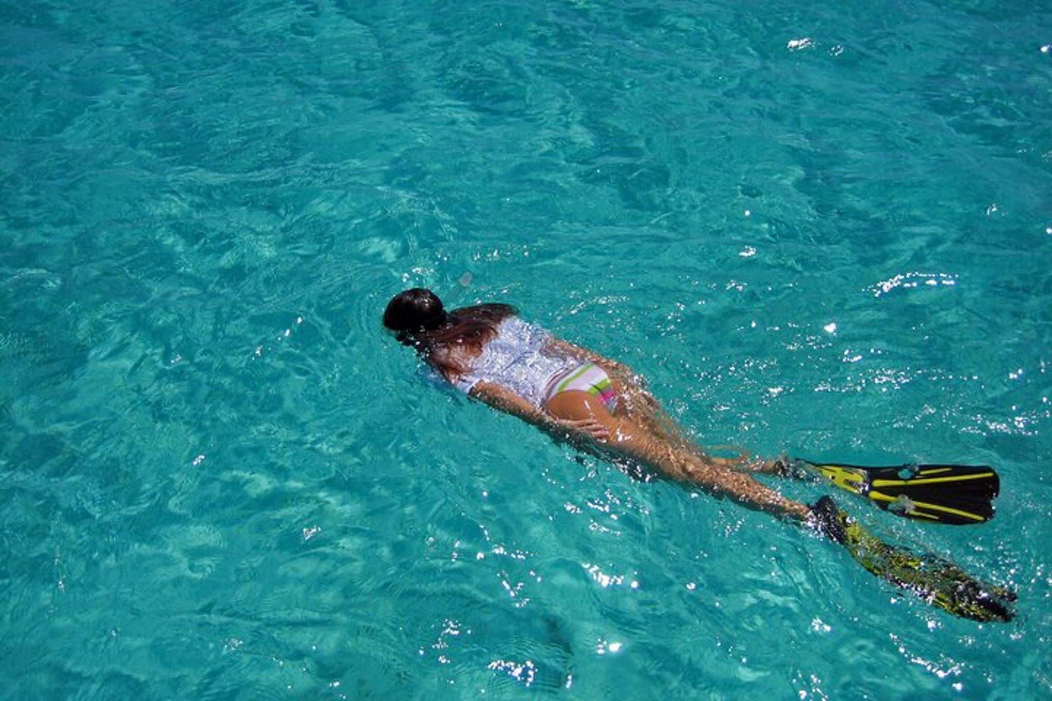 Key Largo Catamaran Snorkel Adventure - Image 4