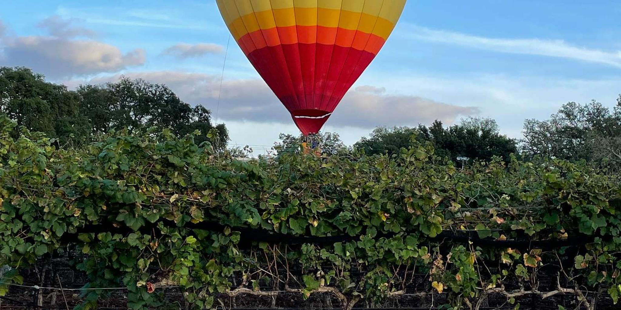 San Antonio Fredericksburg Wine Tour - Image 3