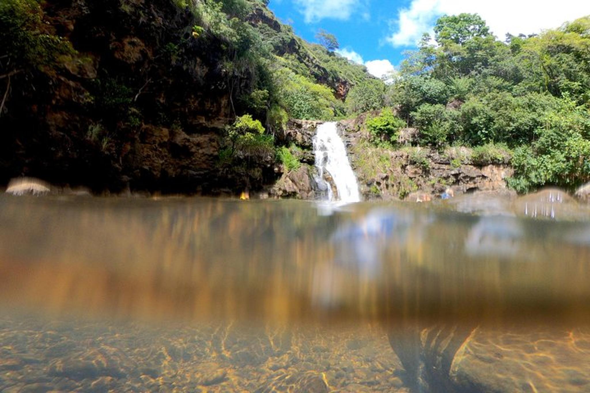 Oahu Private Circle Island Tour - Image 3