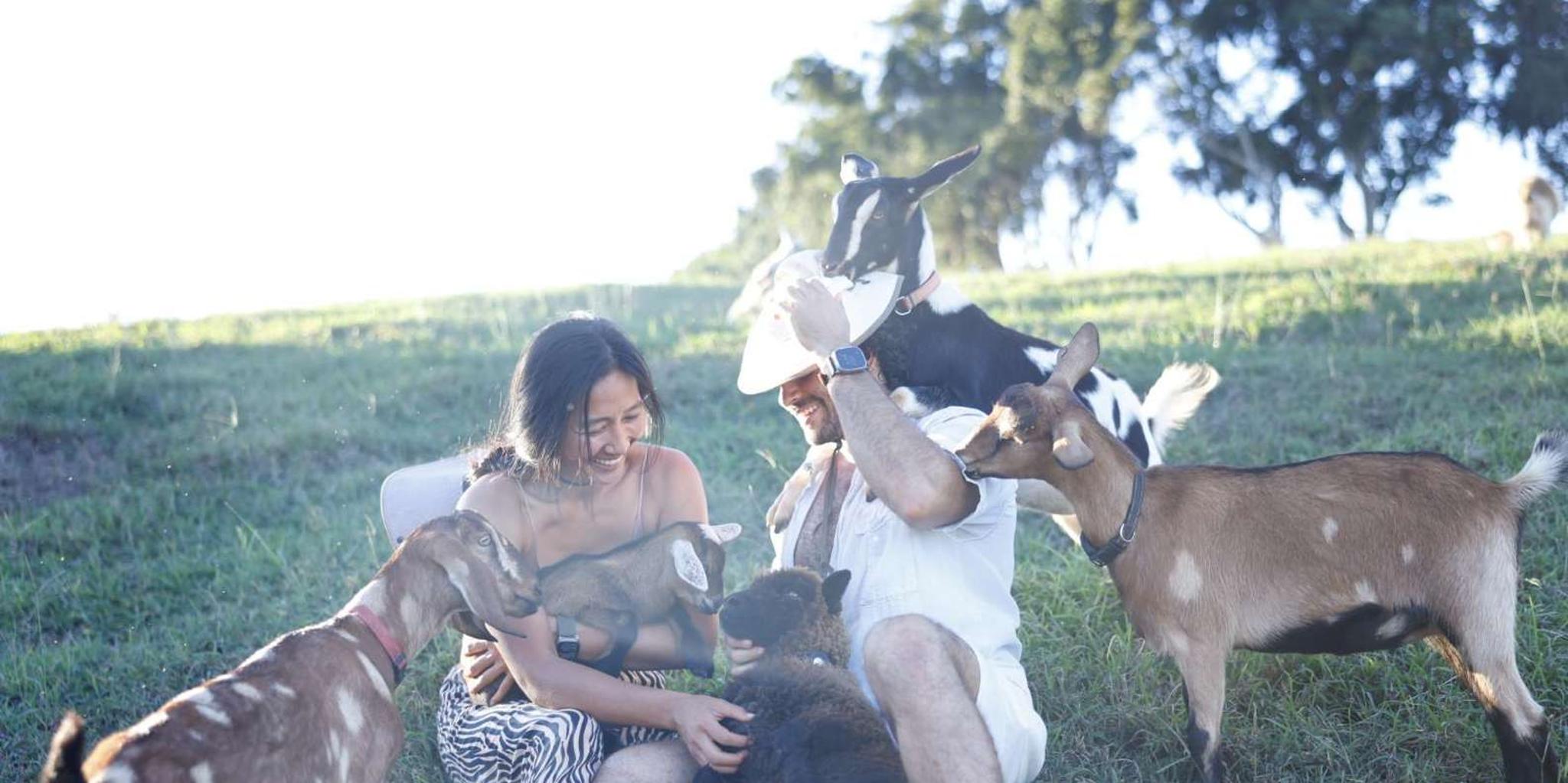 Kauai Farm Animal Experience and MicroDairy Tour - Image 6