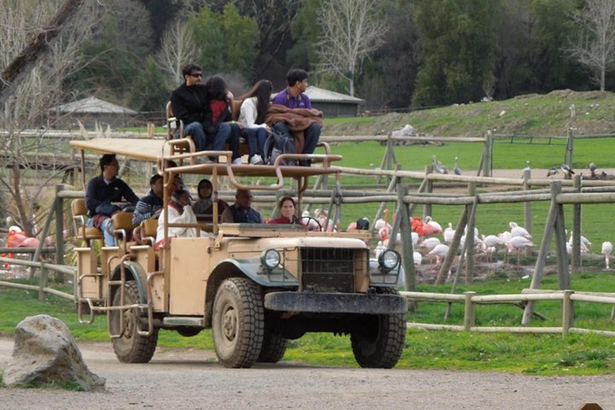 Sonoma Safari and Redwoods Private Tour - Image 2