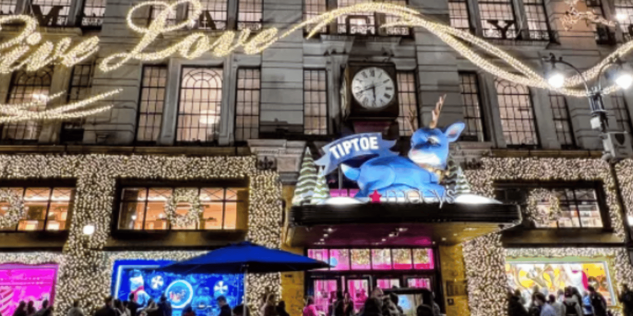 New York Holiday Lights Pedicab Tour