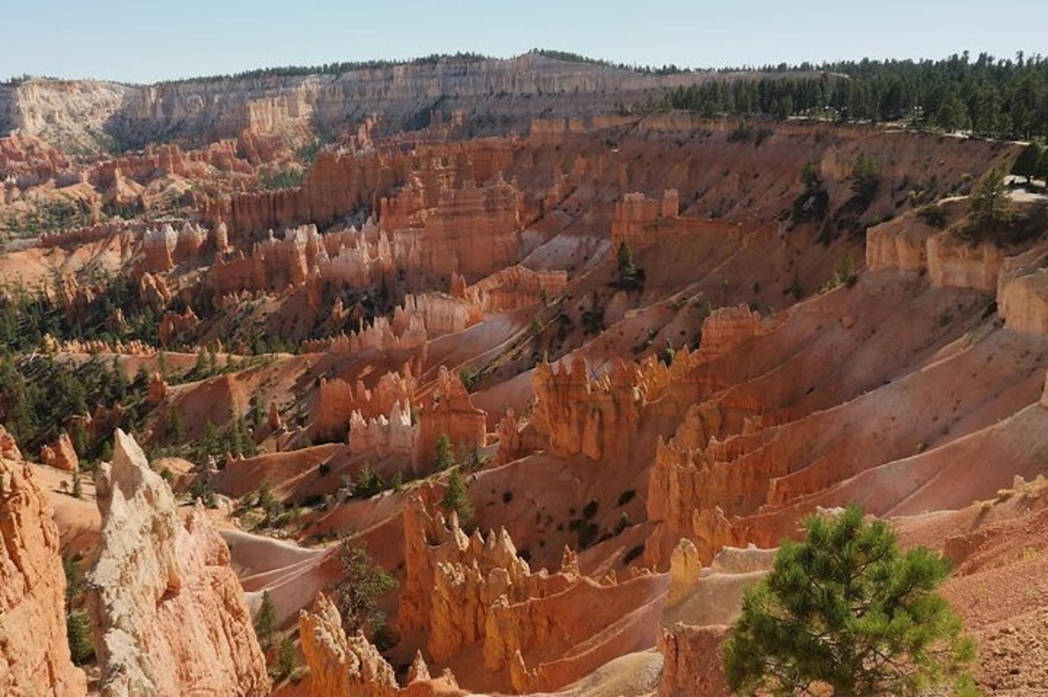 Las Vegas Zion & Bryce Canyon National Parks Day Tour - Image 6