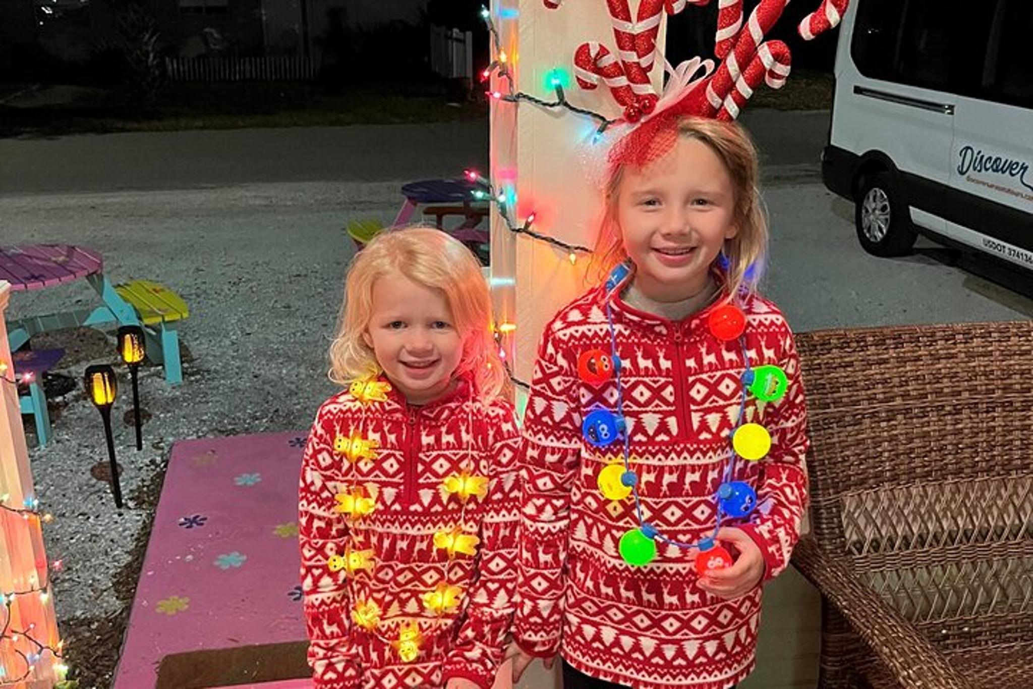 Sarasota Holiday Music & Lights Trolley Tour - Image 3