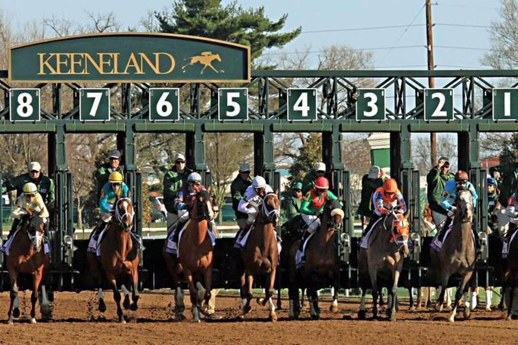 Louisville Bourbon & Derby Tour - Image 3